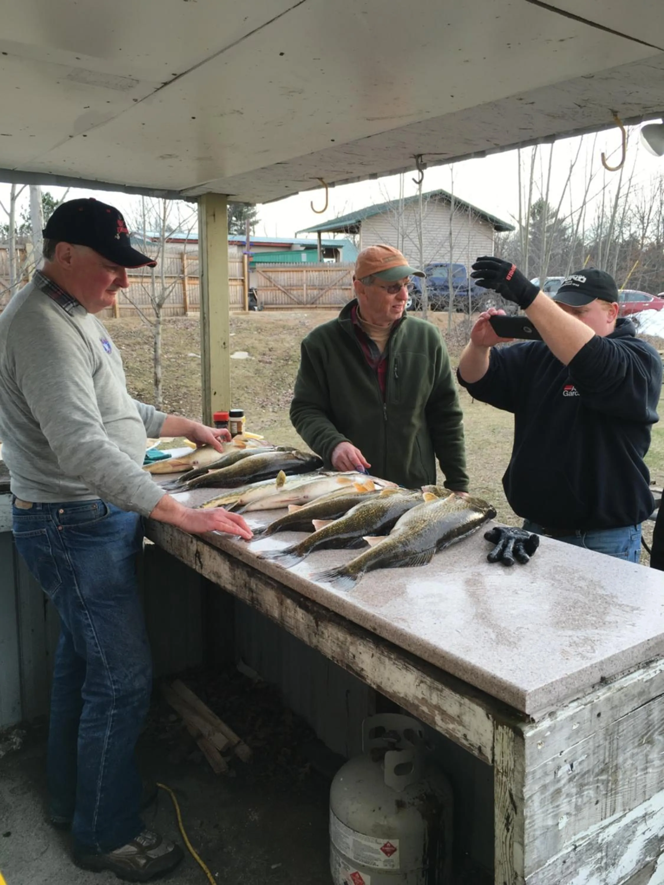 Activities in Tarragon Motel