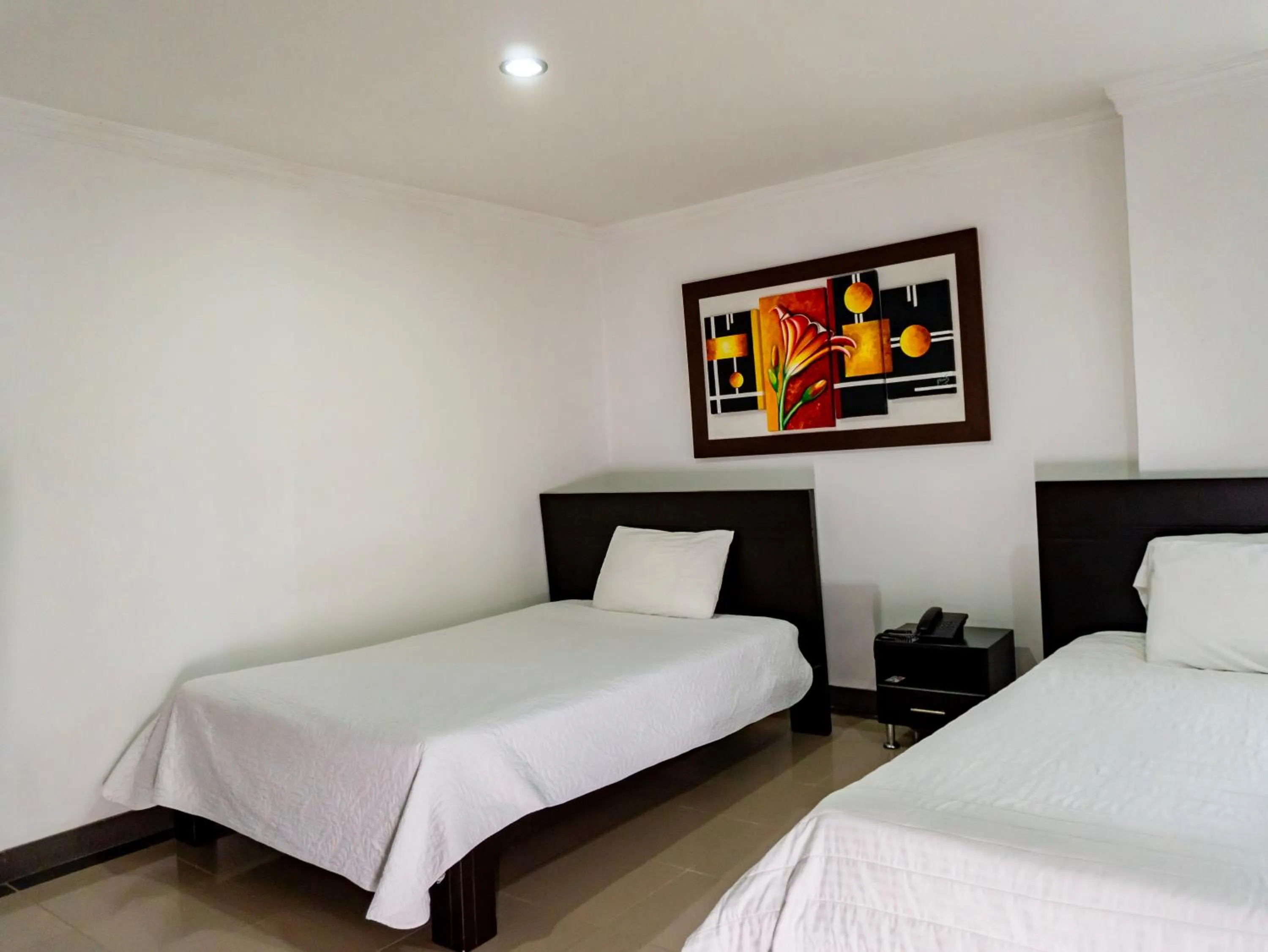 Decorative detail, Bed in Hotel Andinos Plaza Pitalito