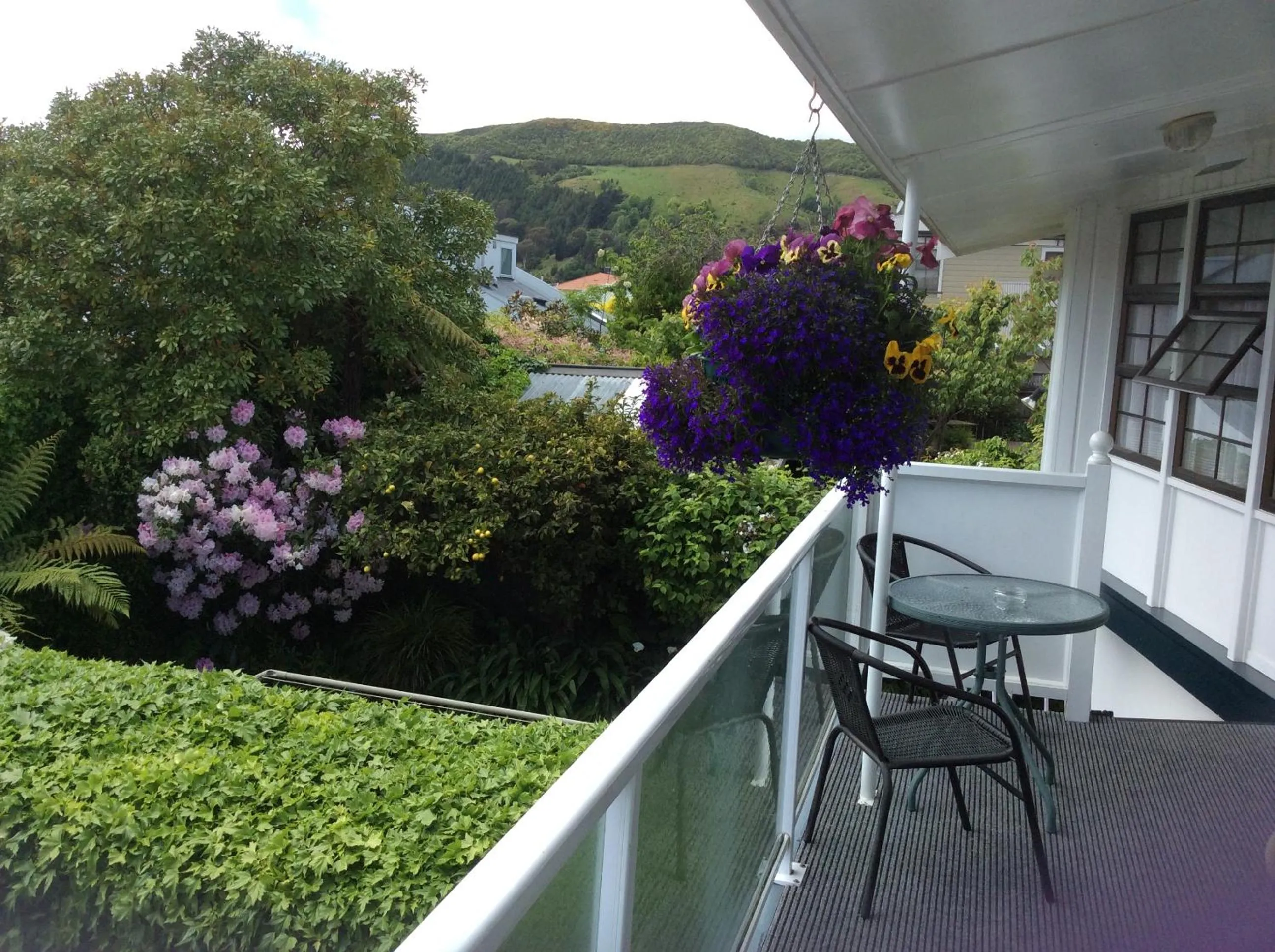 View (from property/room) in Riverlodge Motel