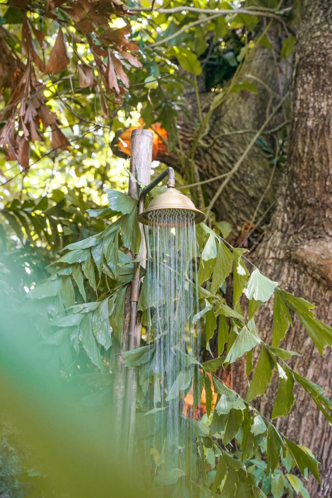 Shower in Somewhere Only We Know Resort