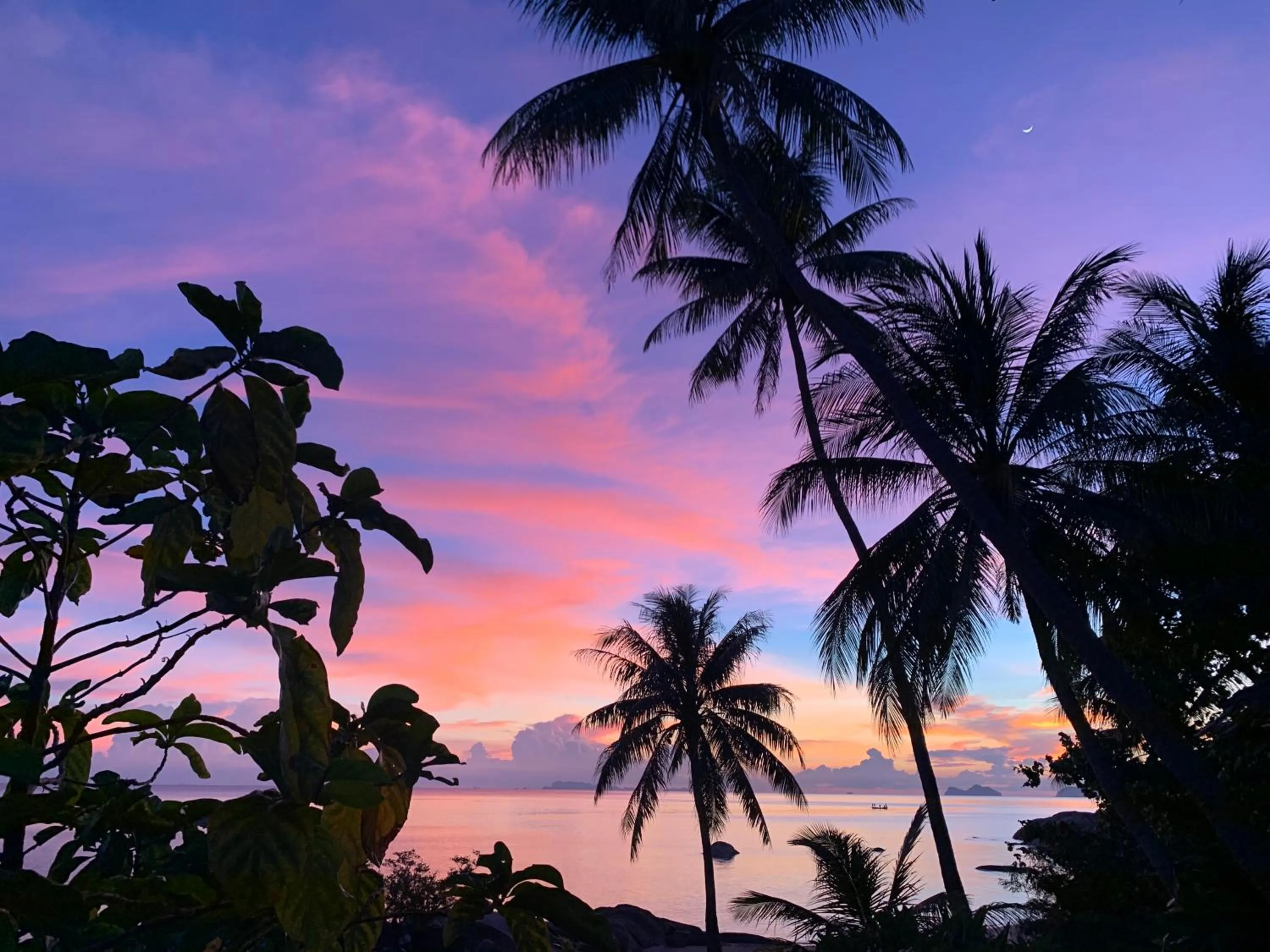 Garden in Somewhere Only We Know Resort