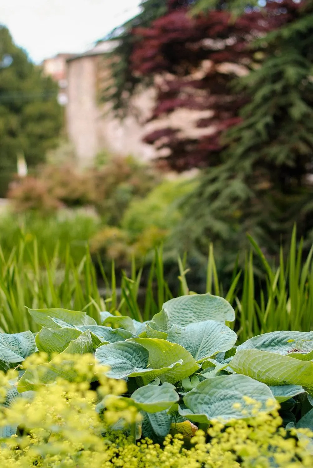 Other in Saltmarshe Hall