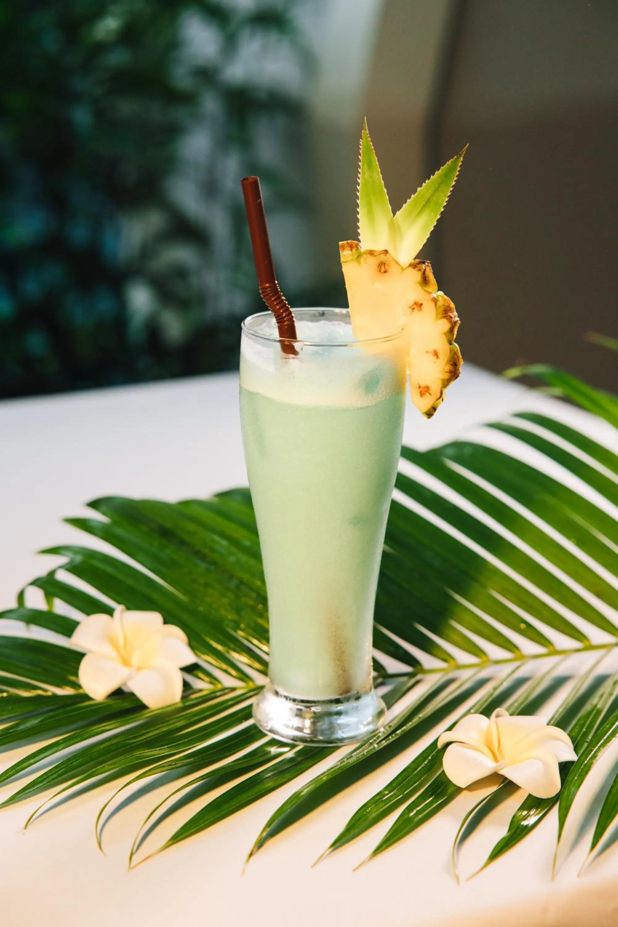 Drinks in Central Suite Residence