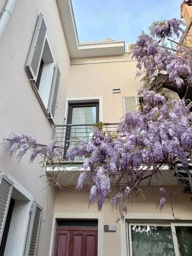 B&B Glicine