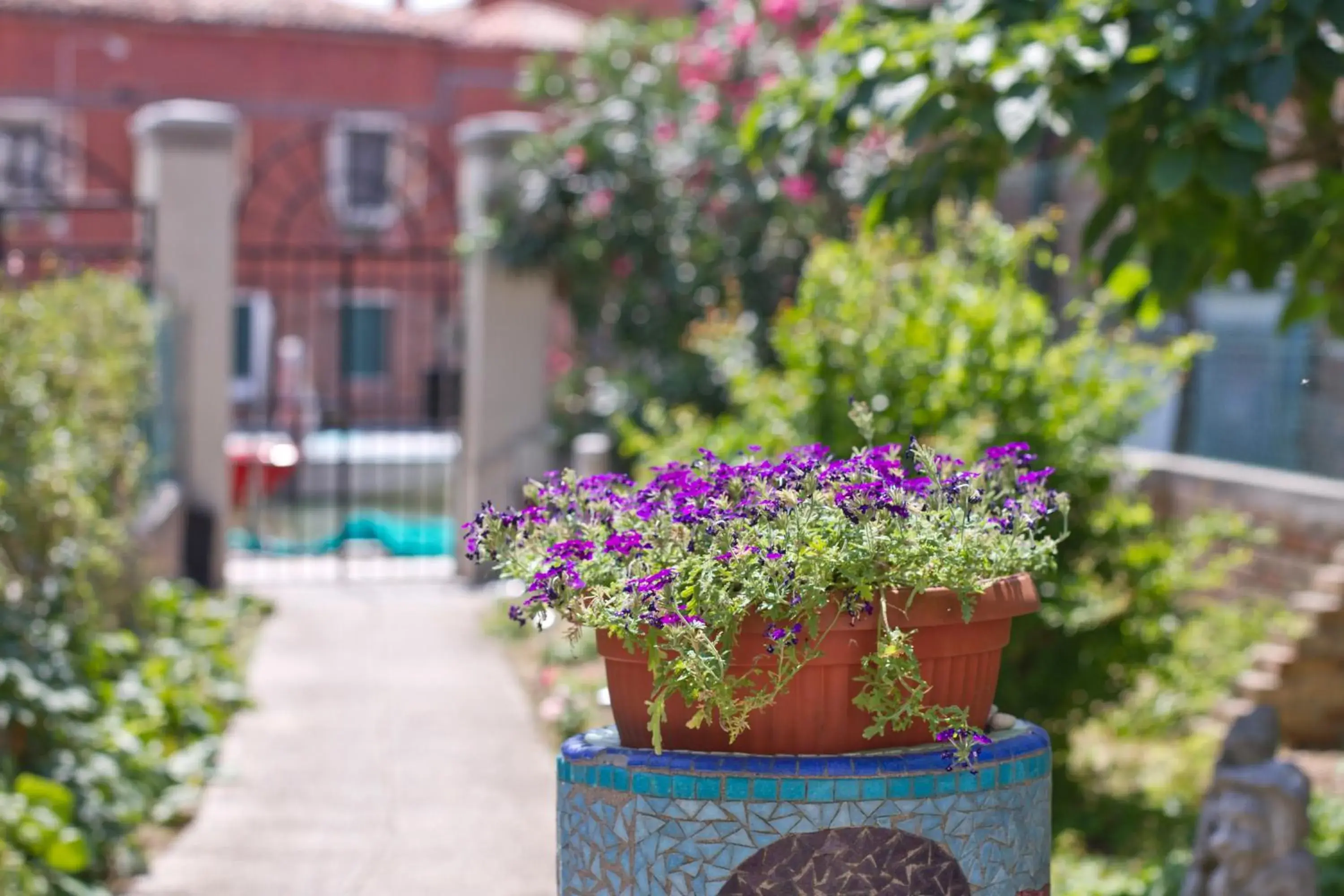 Ca' Del Pomo Grana' Ca' Del Pomo Grana'
