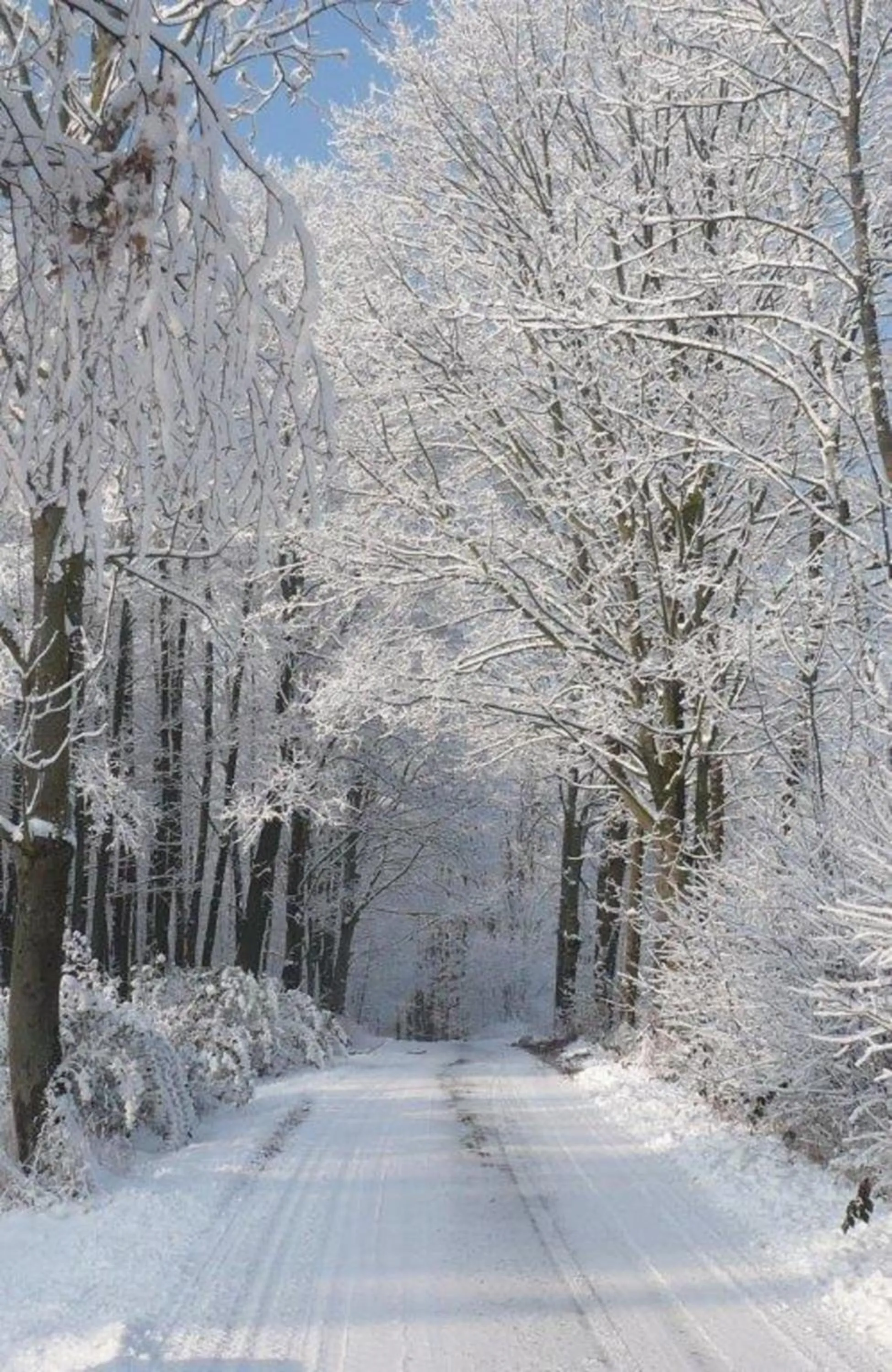 Chaty pod Sokolím Hřbetem
