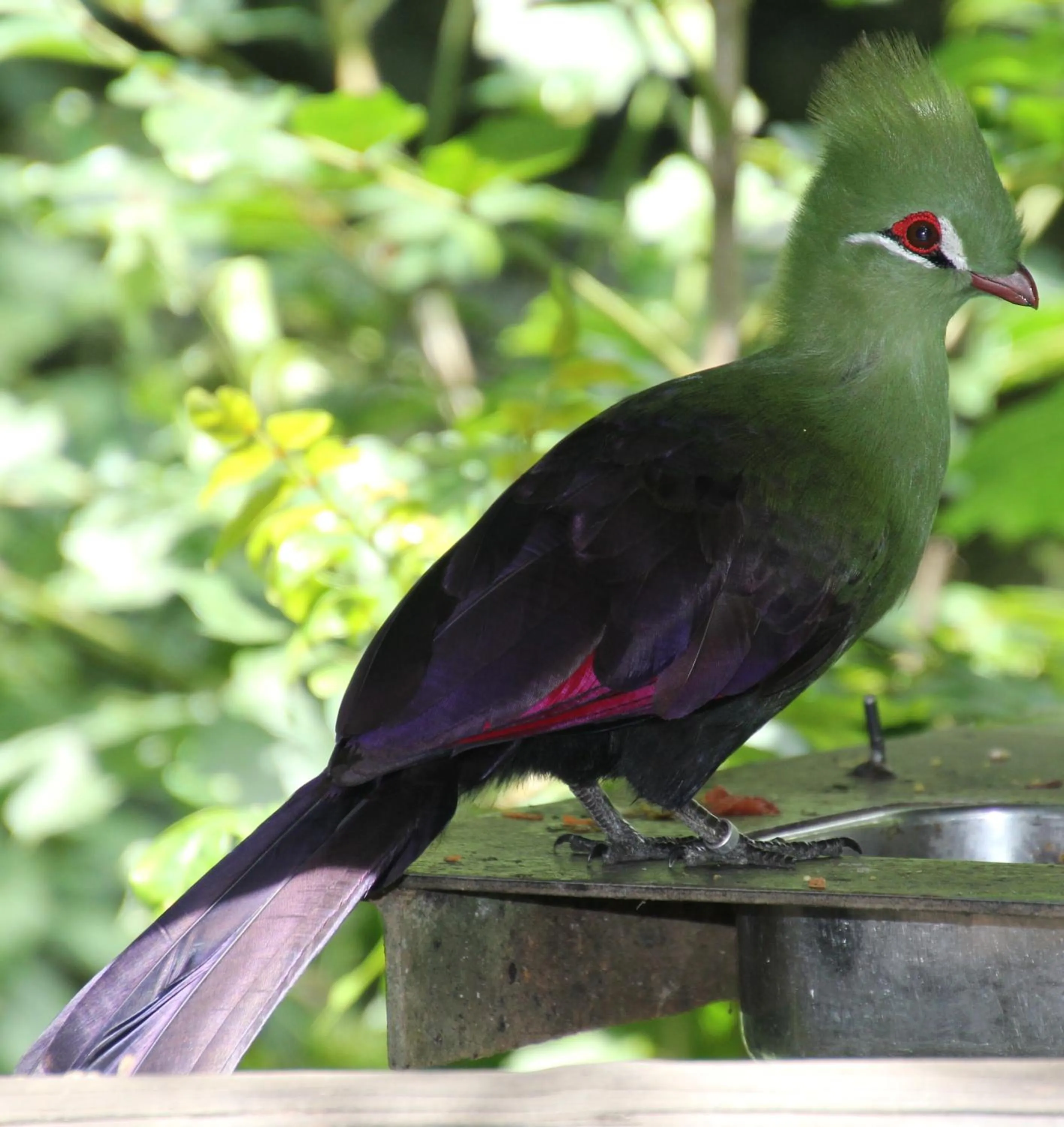 Property building in Kamma-Otter