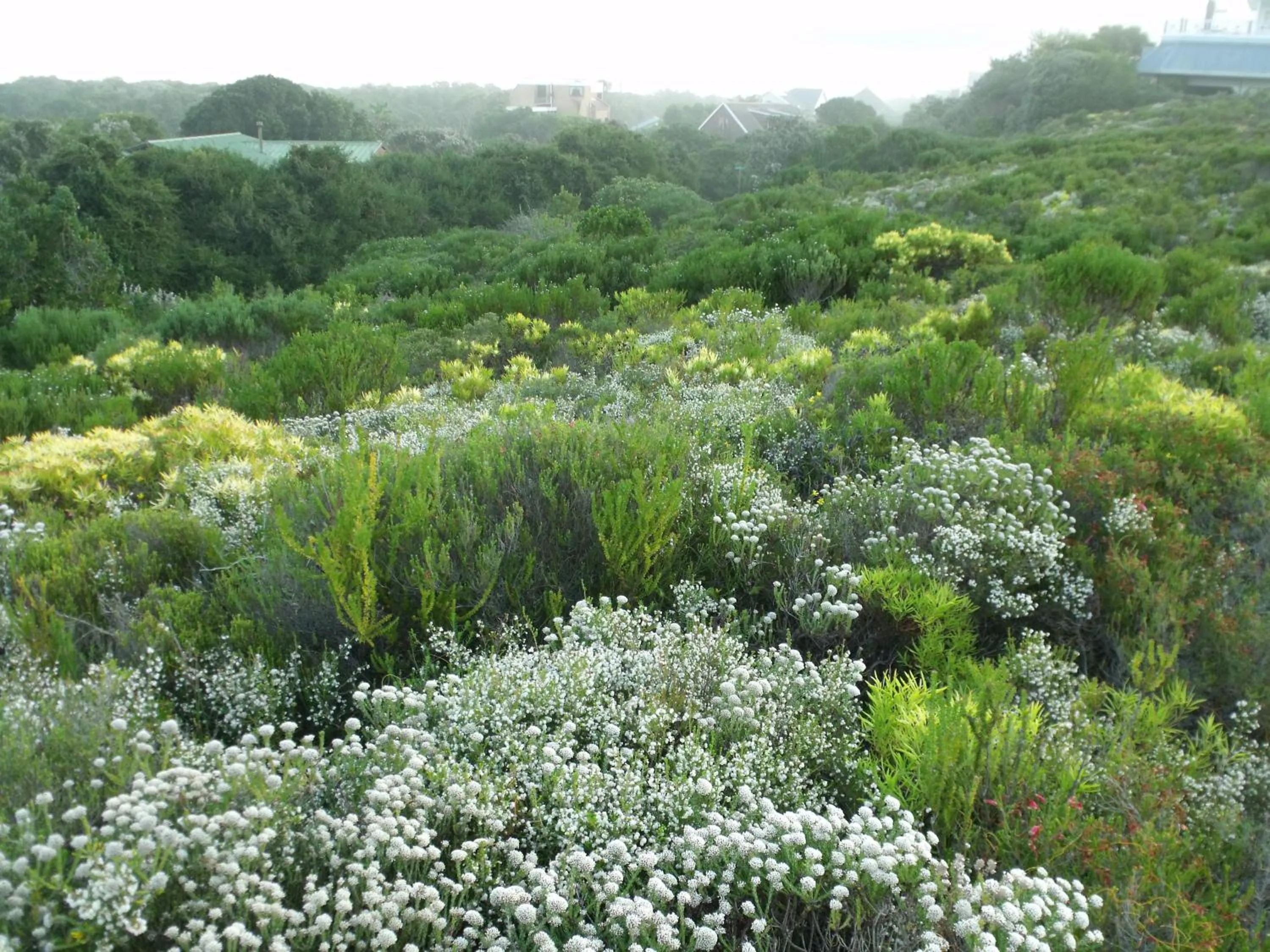 Property building in Kamma-Otter