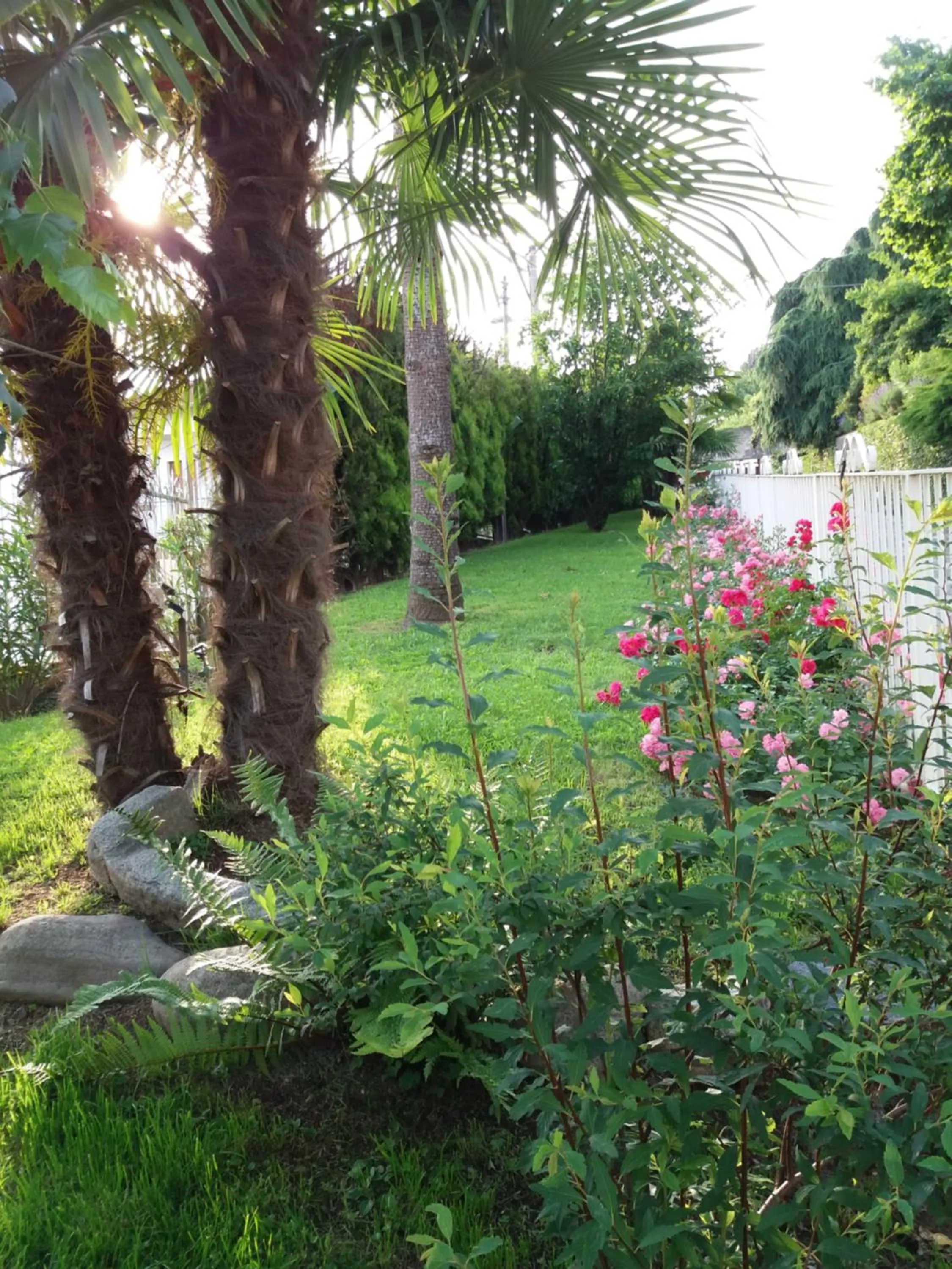 Garden in Novecento B&B