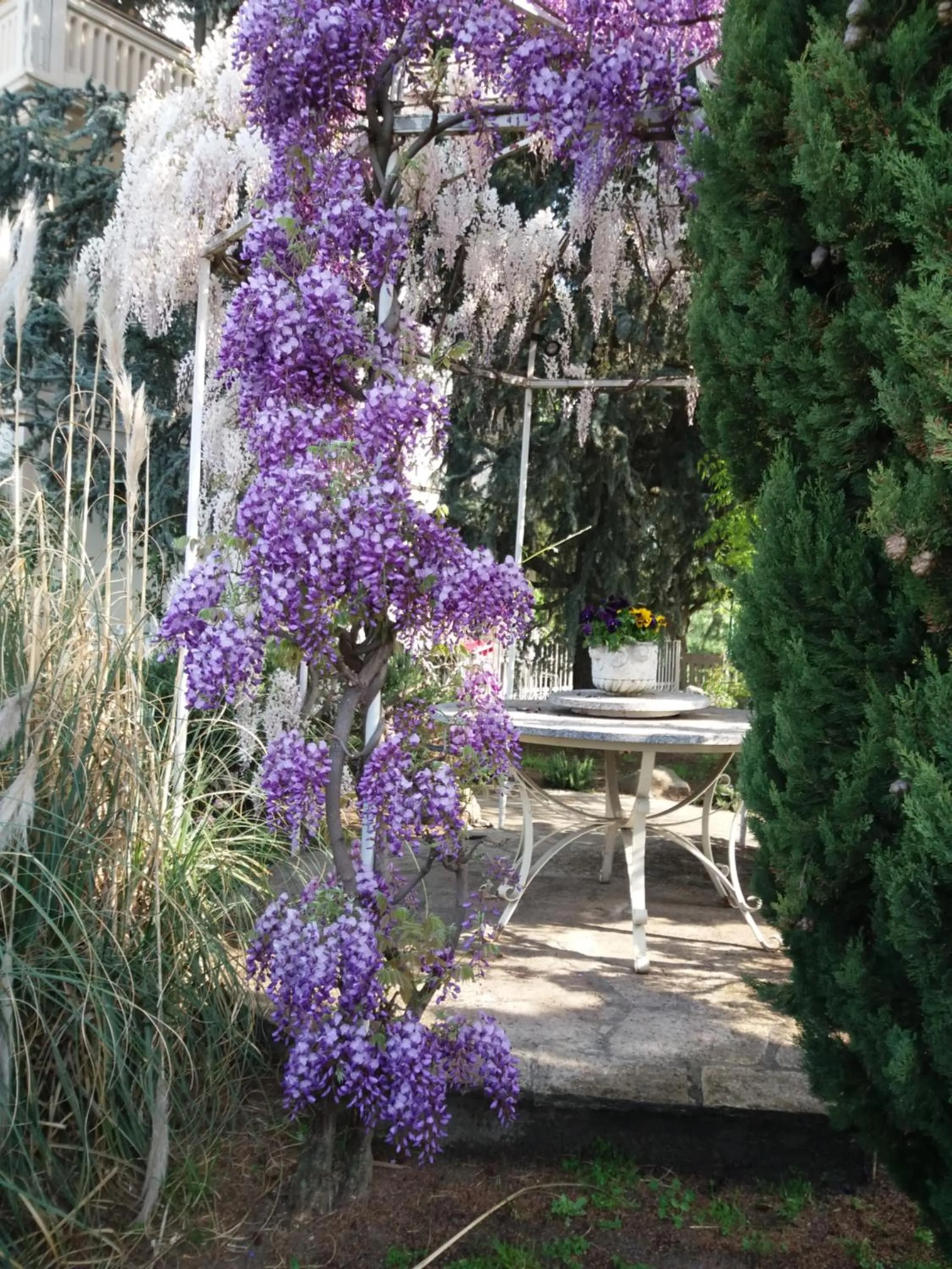 Spring in Novecento B&B