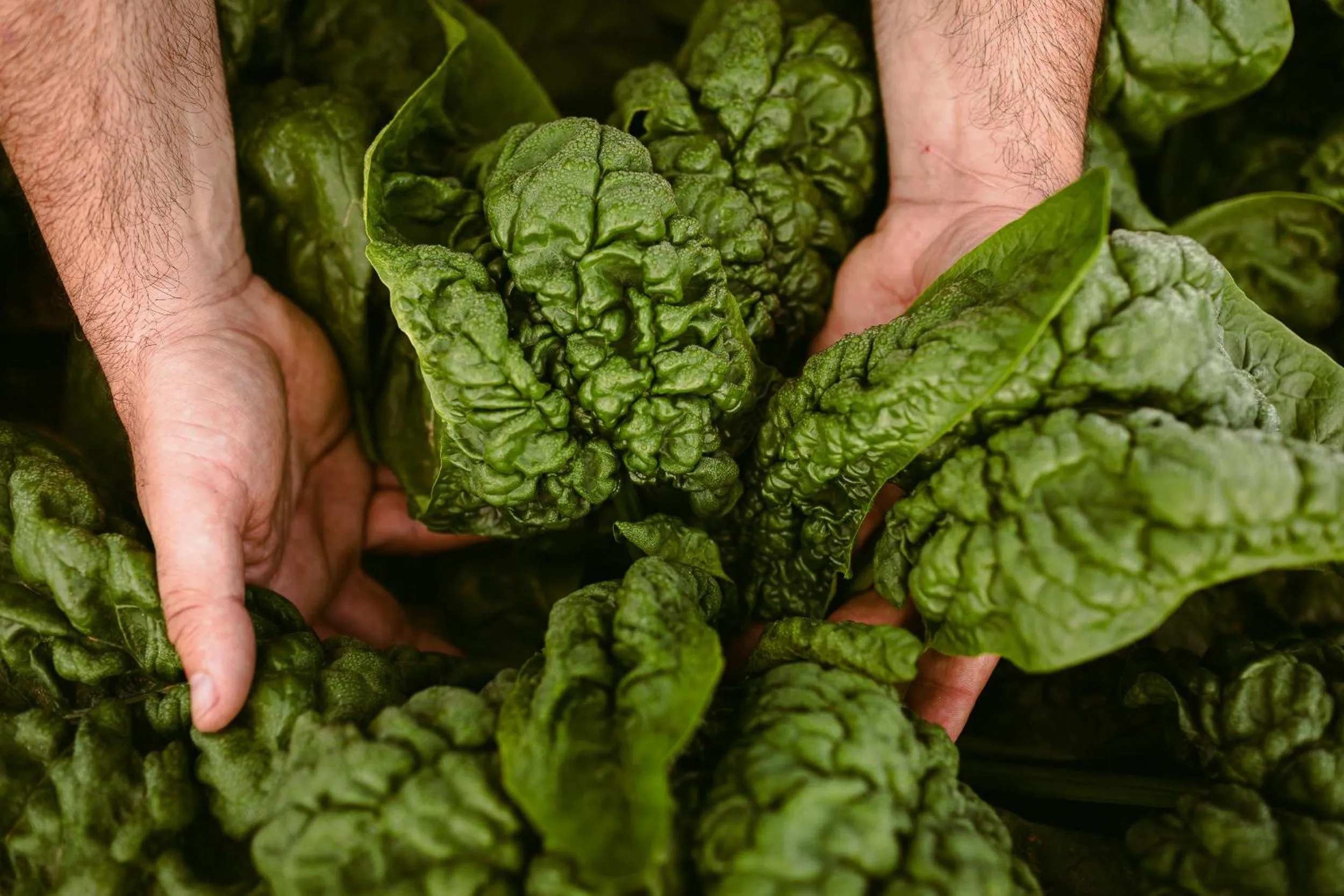 Food in Hotel Rural Xereca