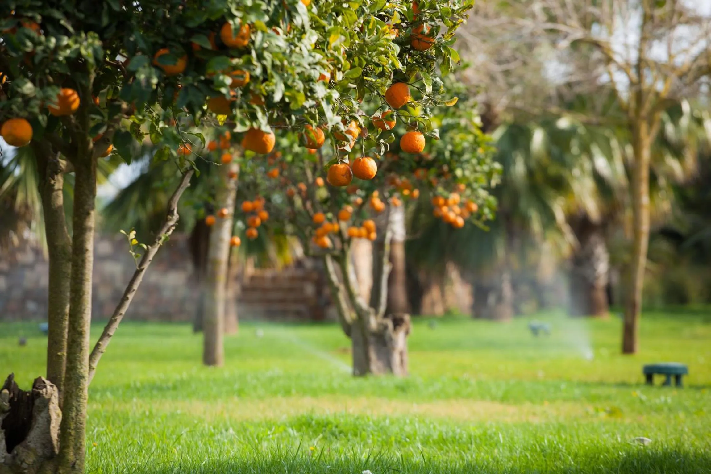 Natural landscape in Hotel Rural Xereca