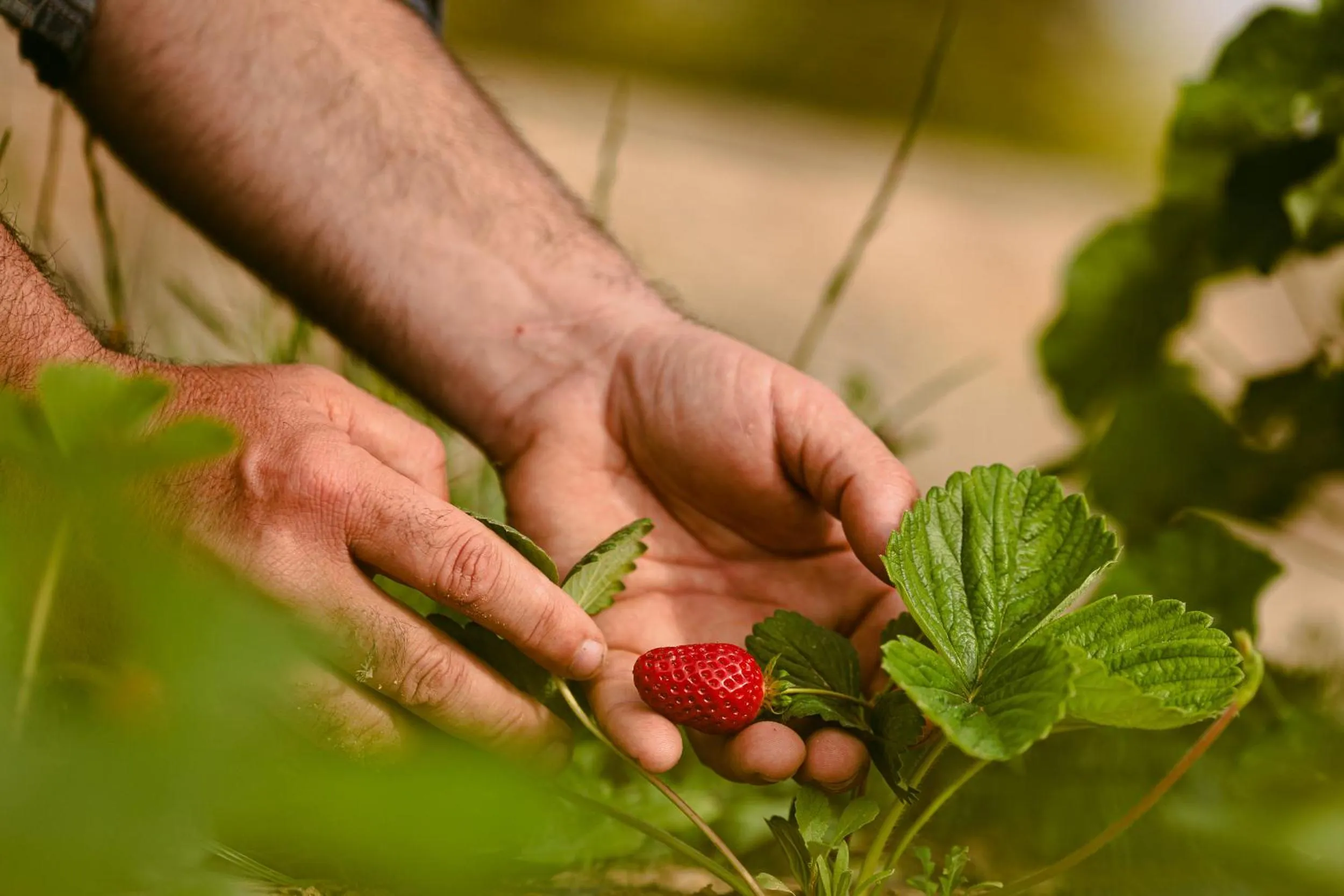 Food in Hotel Rural Xereca