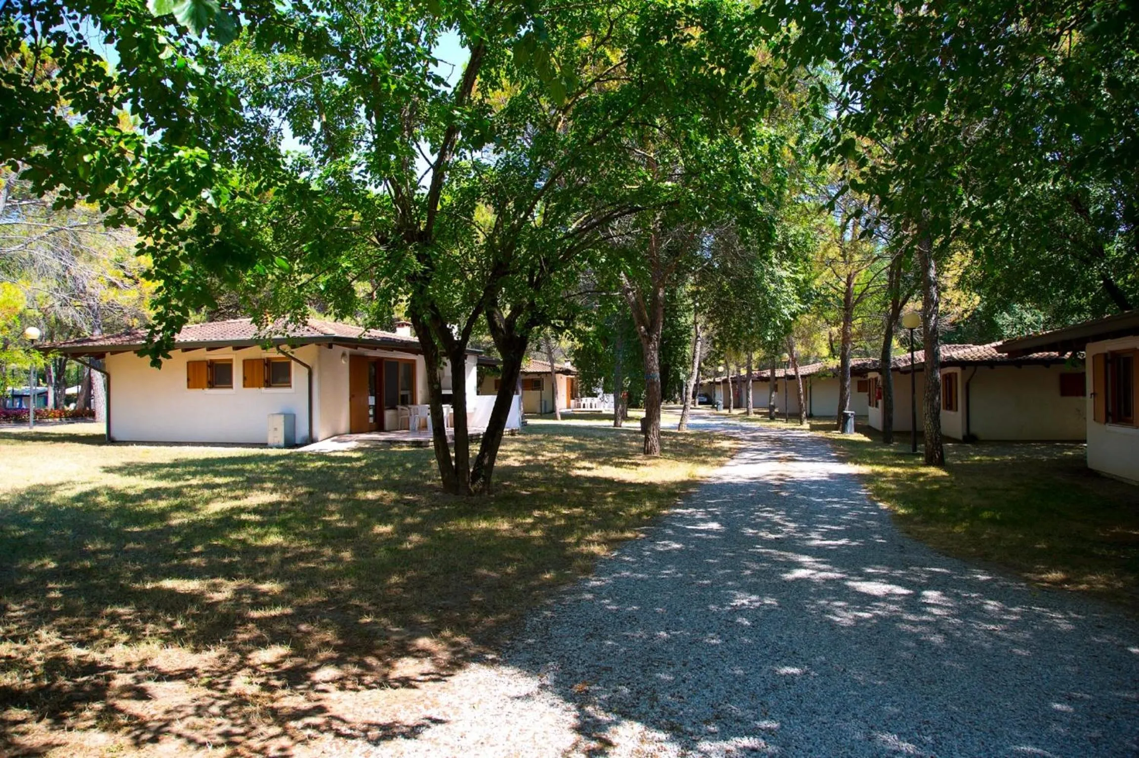 Photo of the whole room in Belvedere Pineta Camping Village Grado