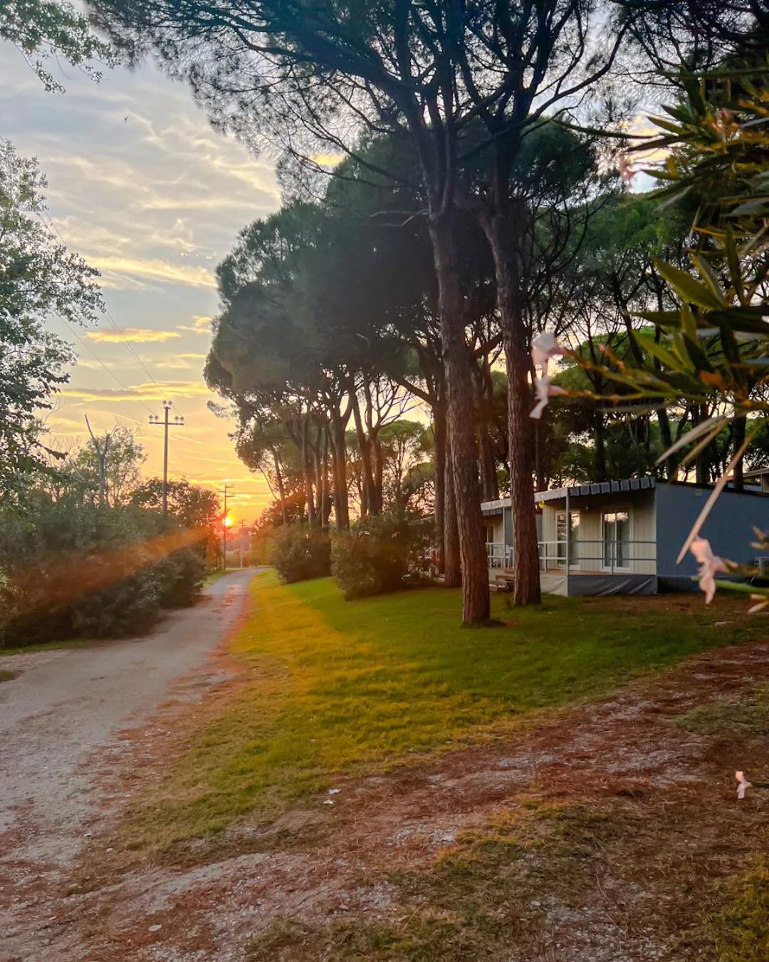 Summer in Belvedere Pineta Camping Village Grado