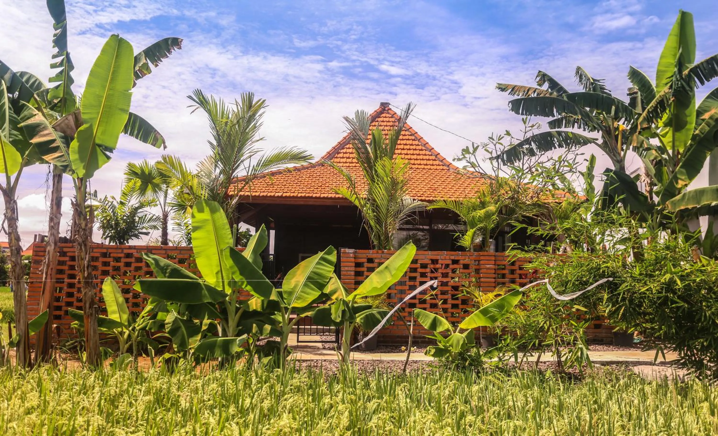 Property building in Kampung Canggu