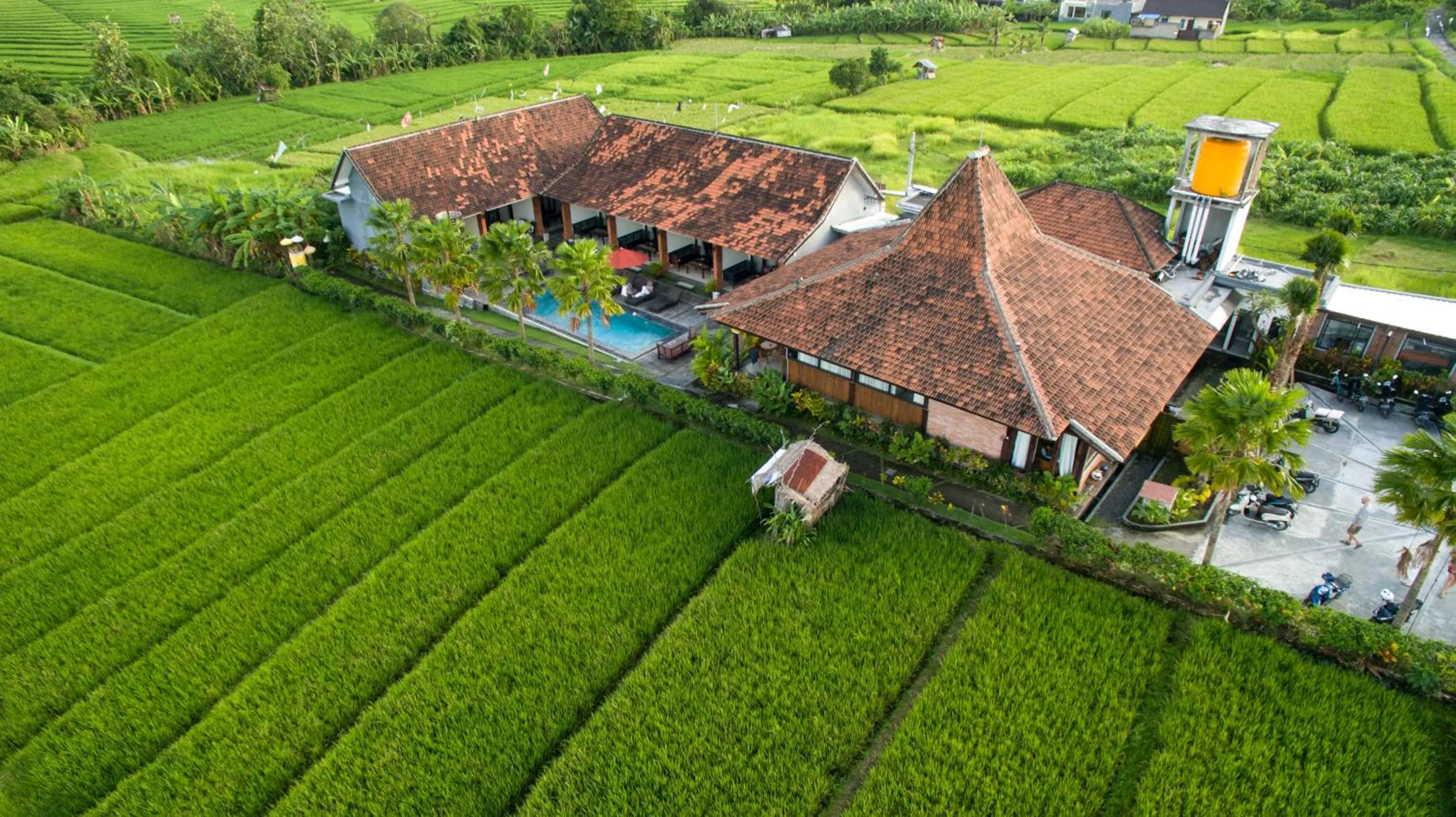 Property building in Kampung Canggu