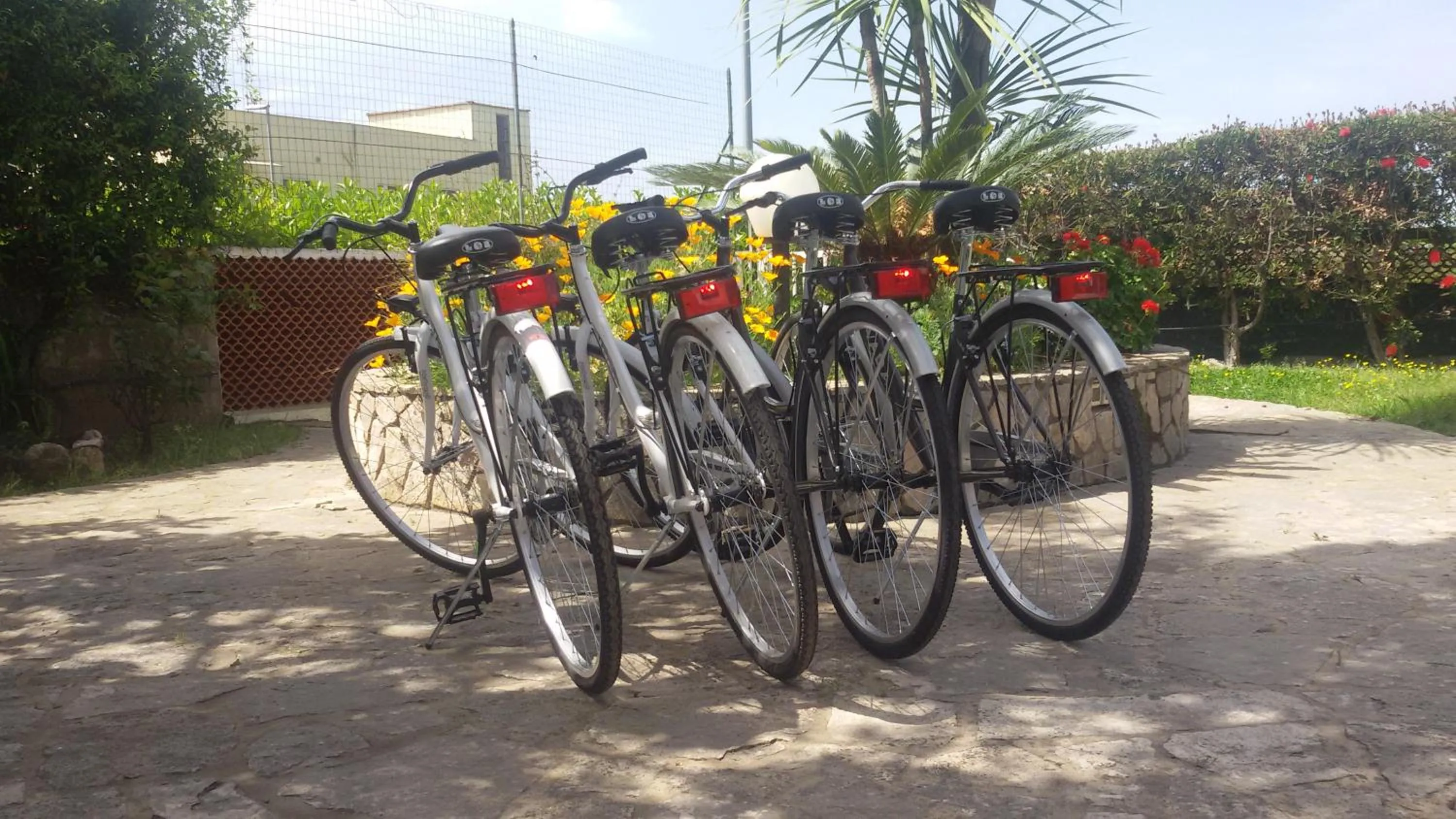 Activities in Green House