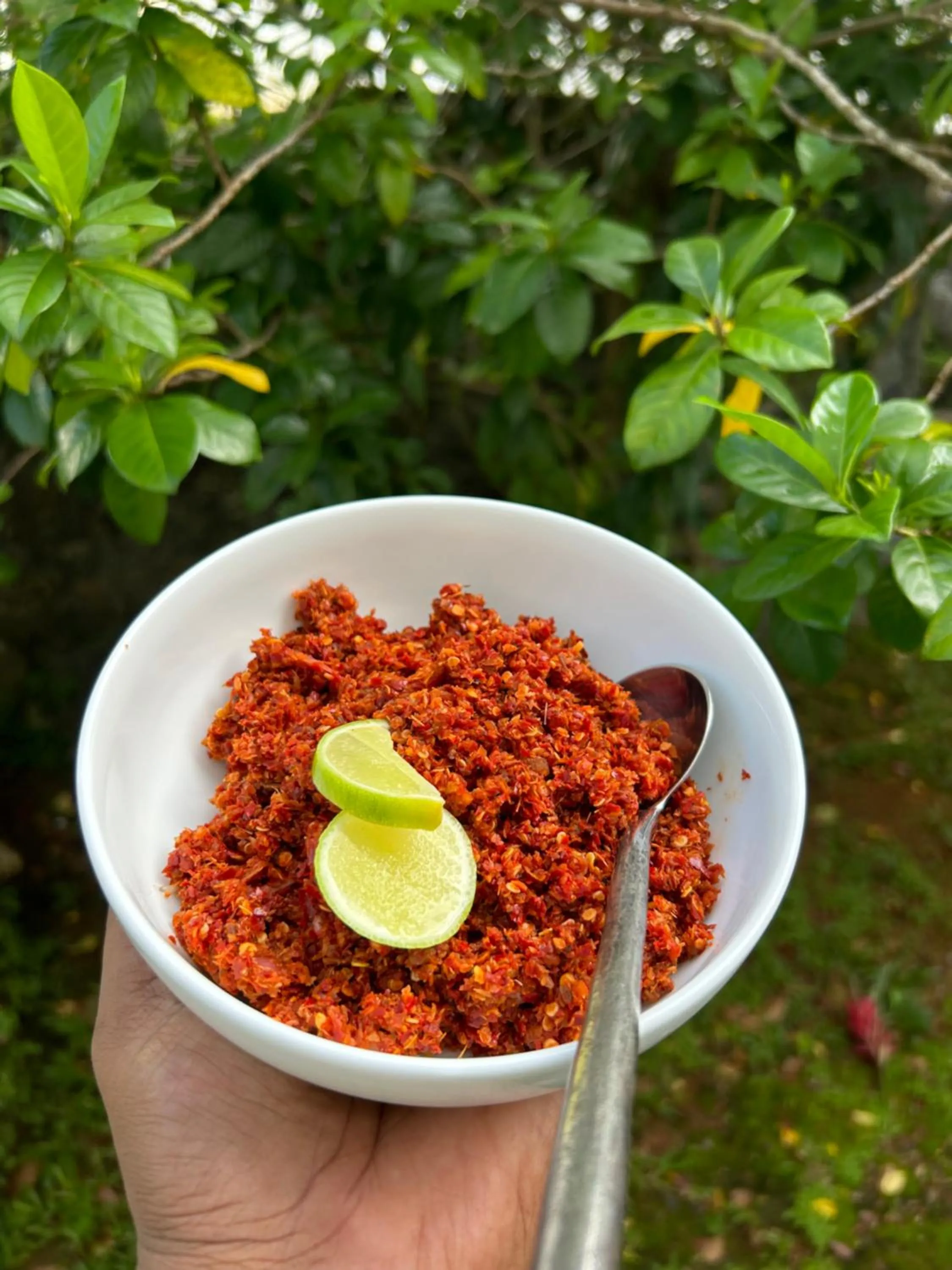 Breakfast in Villa Kubura