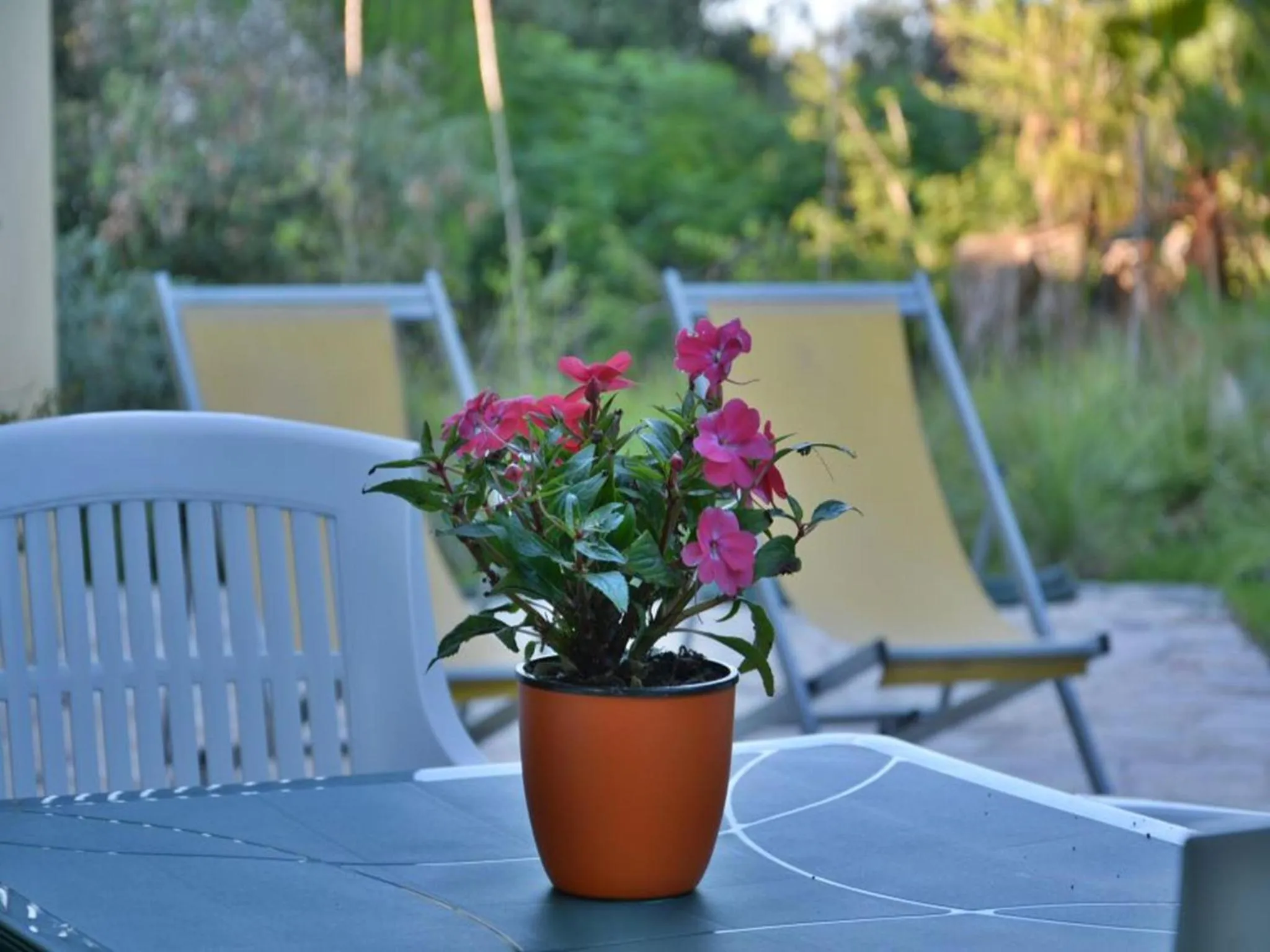 Patio in Masseria Lama