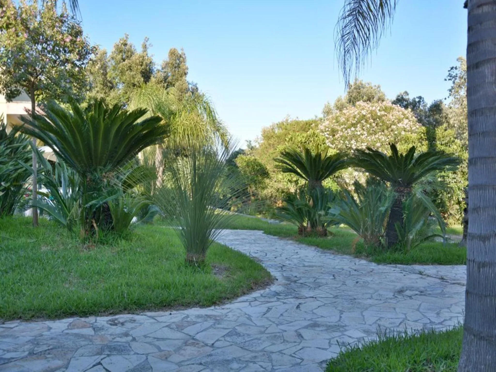 Garden in Masseria Lama