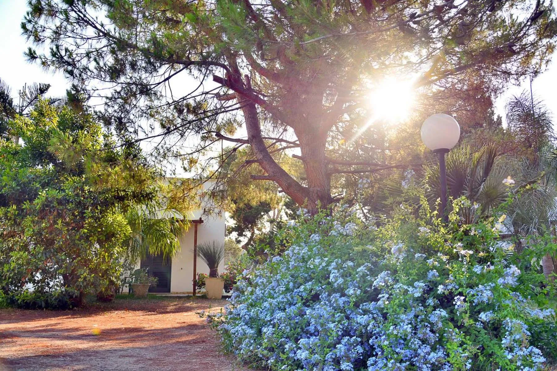 Garden in Masseria Lama