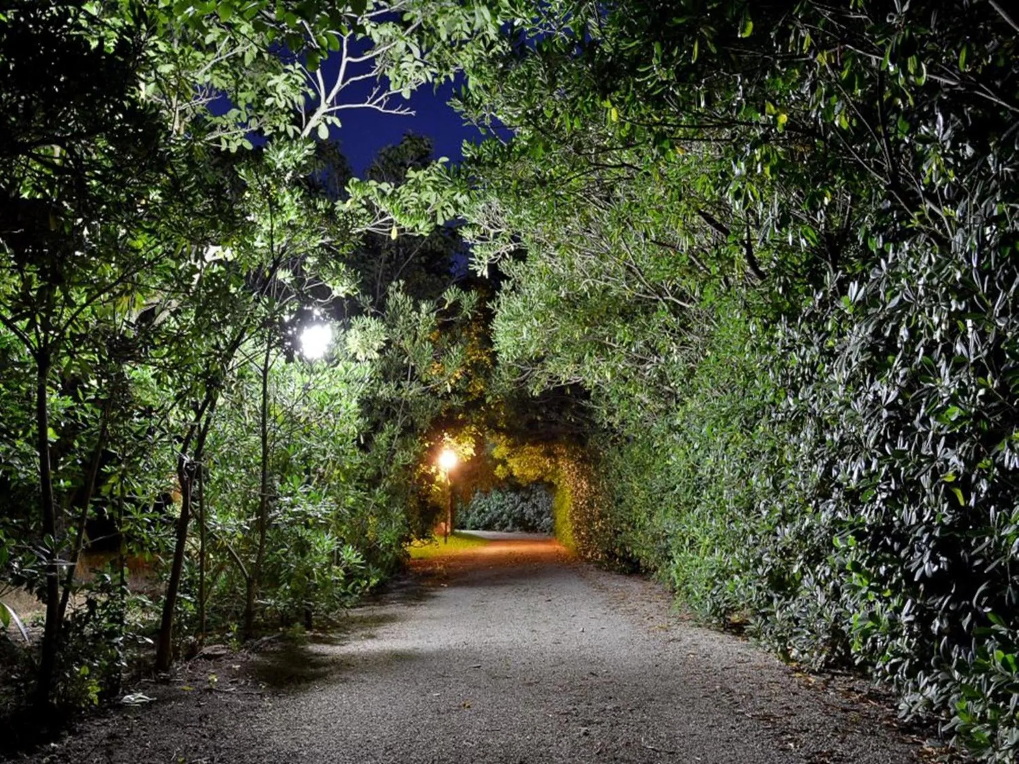 Garden in Masseria Lama