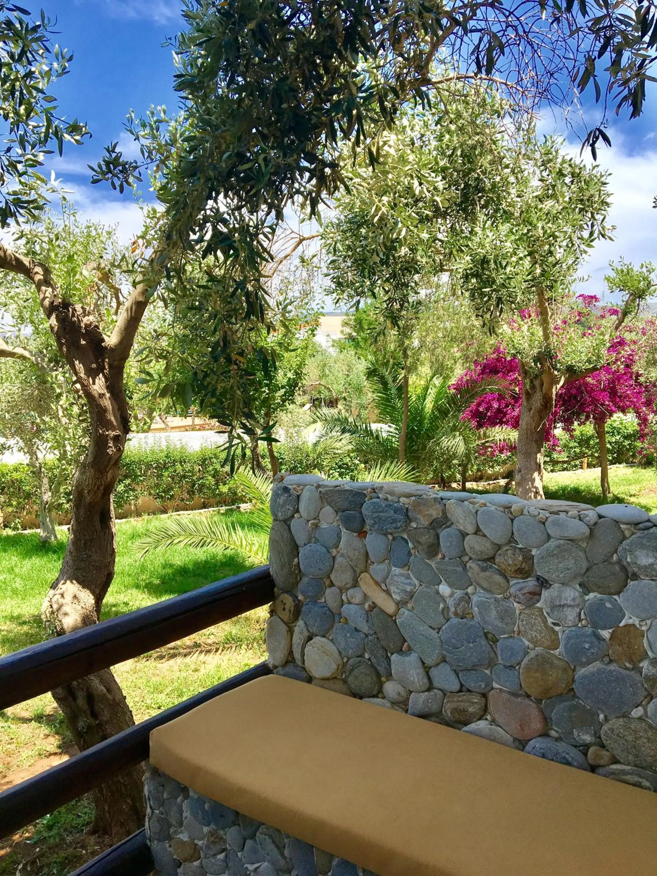 Balcony/Terrace in Venus Beach Hotel