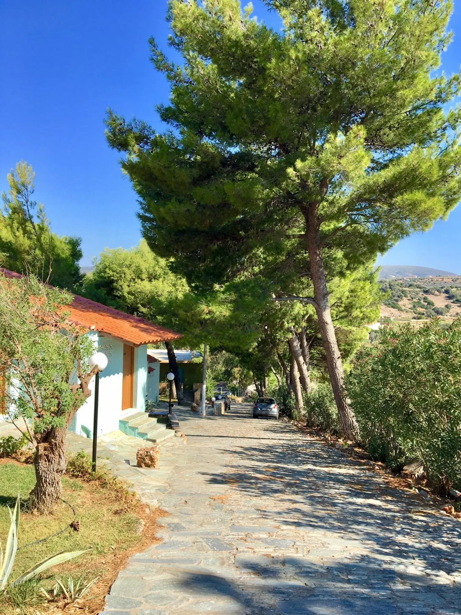 Garden in Venus Beach Hotel