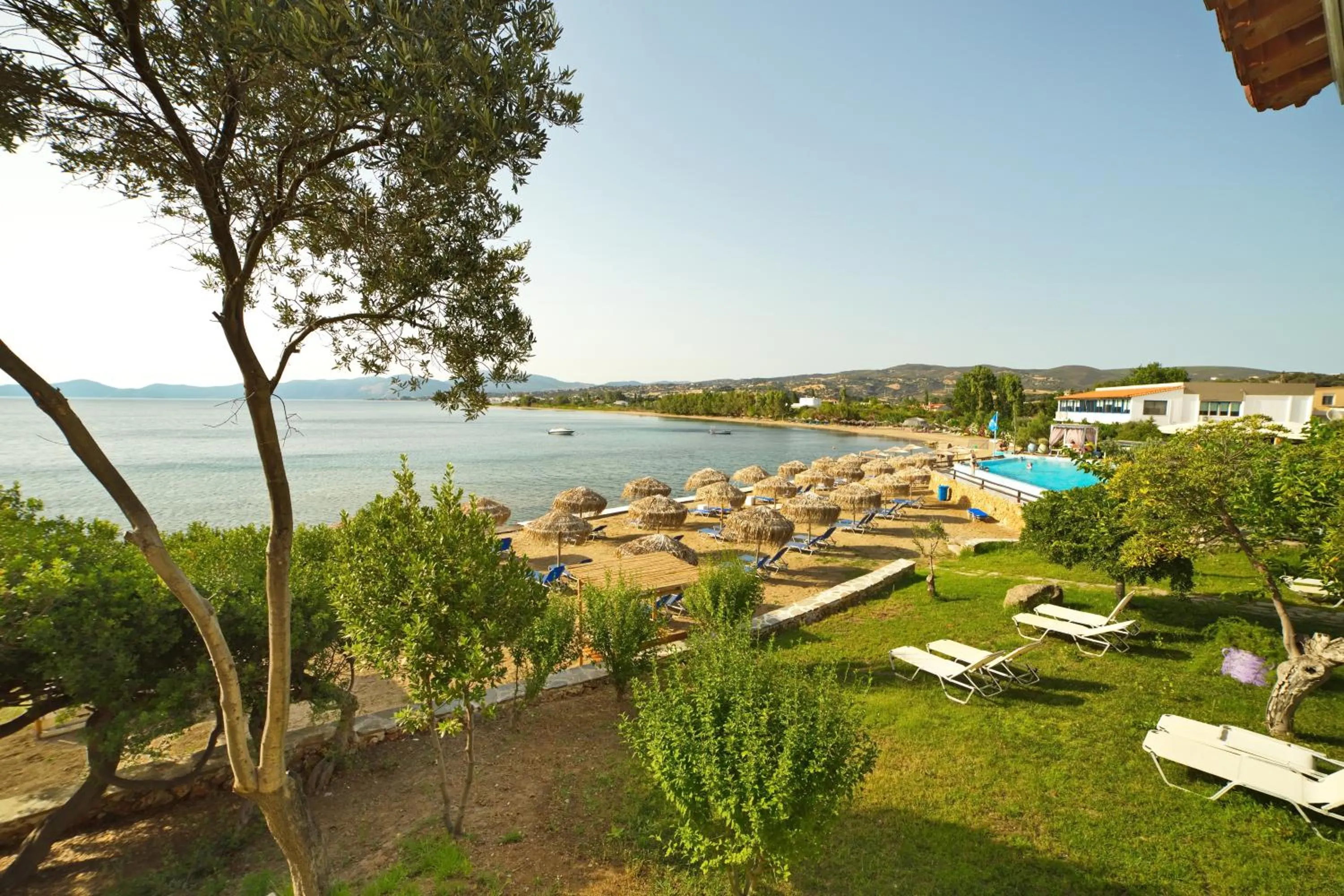 Beach in Venus Beach Hotel