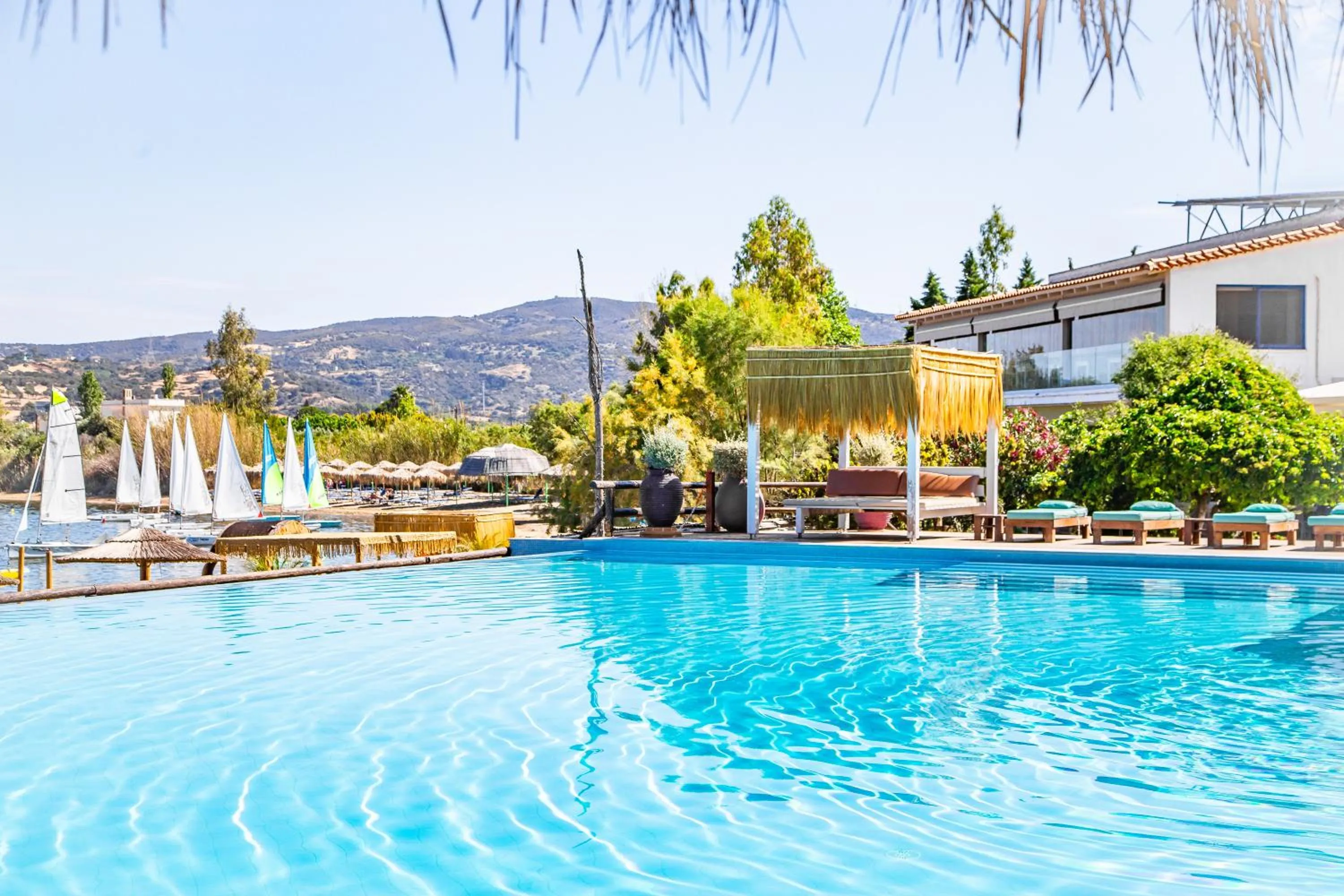 Swimming pool in Venus Beach Hotel