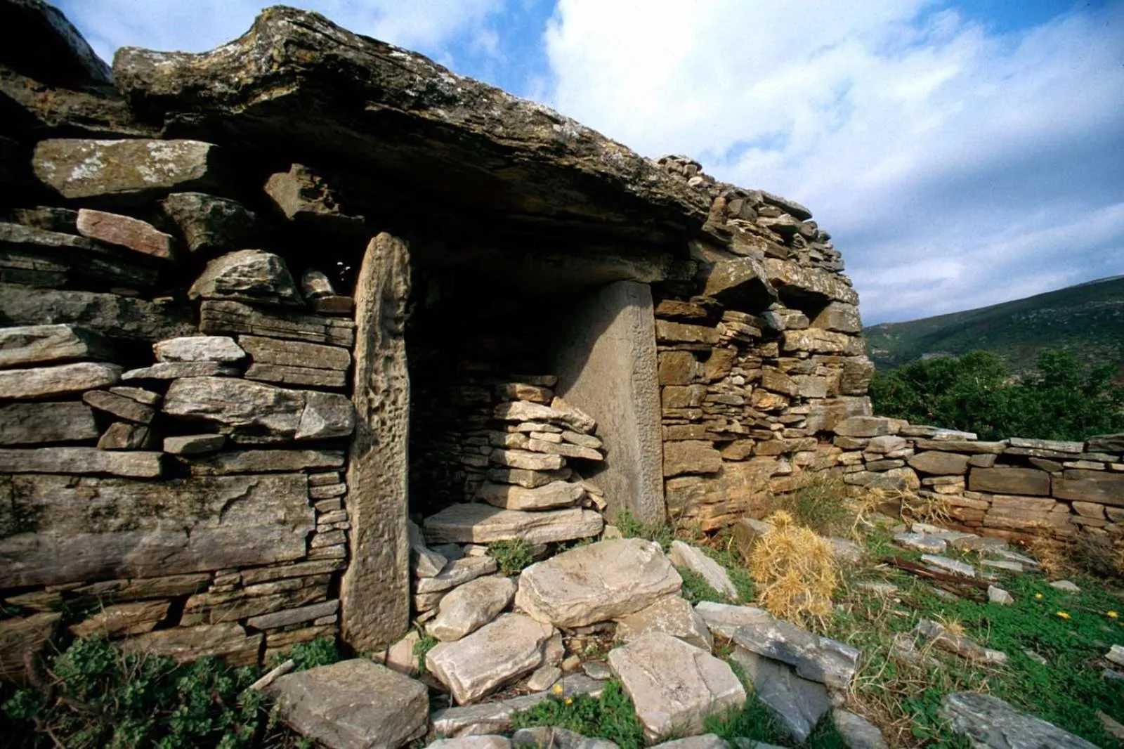 Activities in Venus Beach Hotel