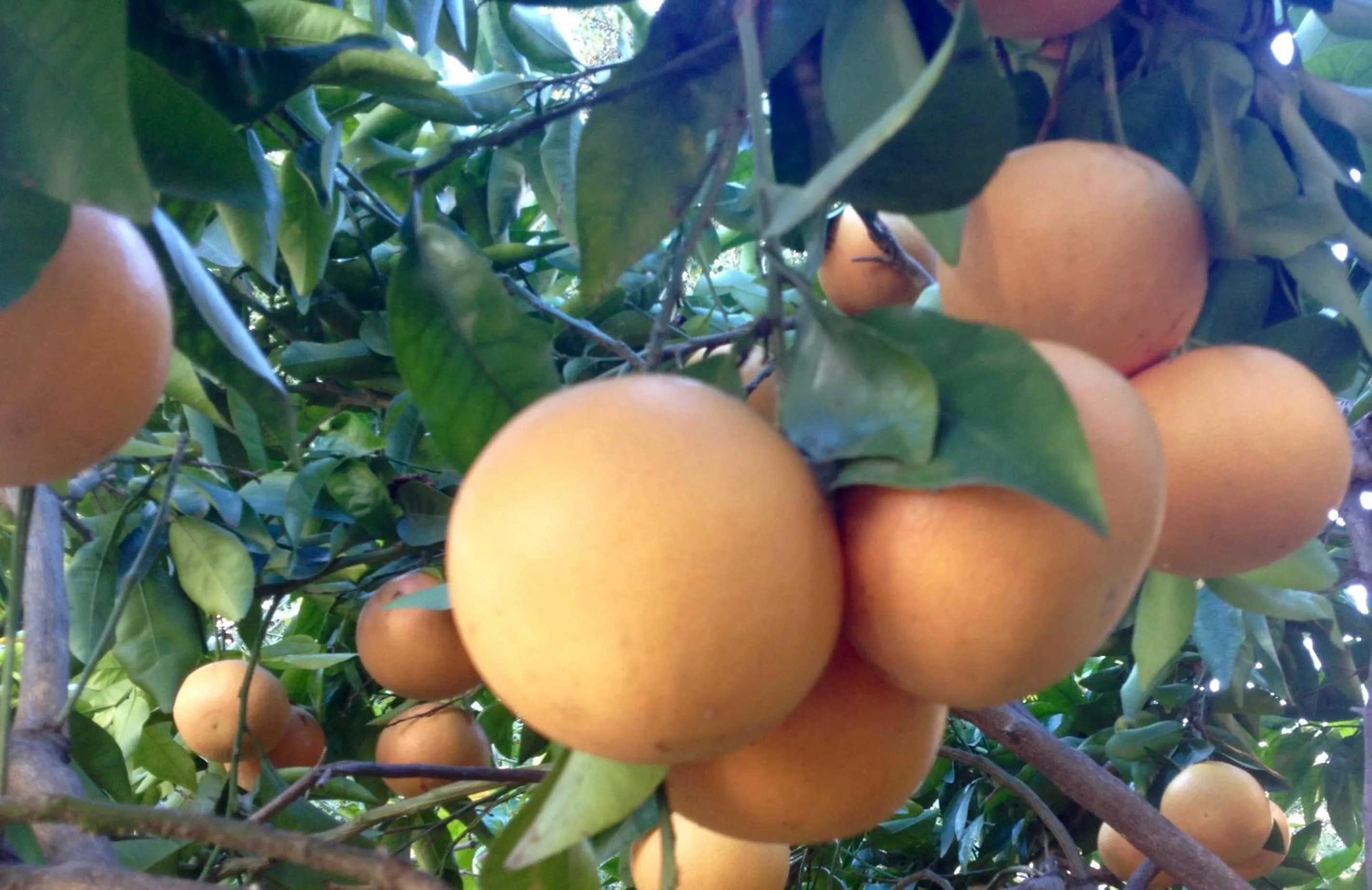 Winter in Villa Prétorina