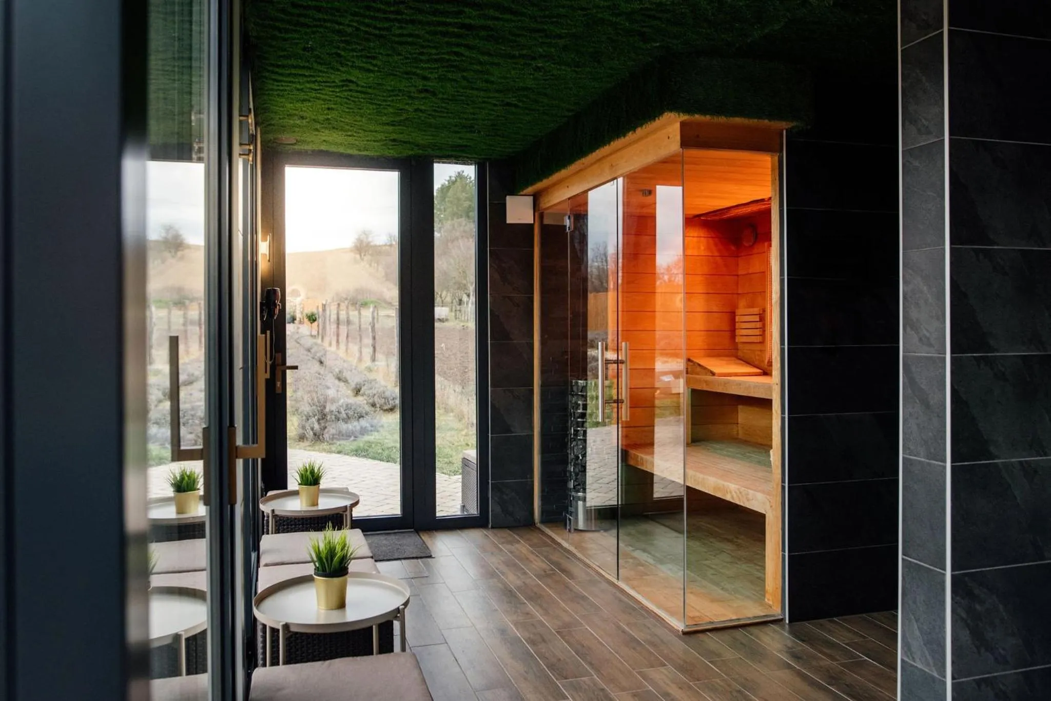 Spa and wellness centre/facilities in Hazai Provence