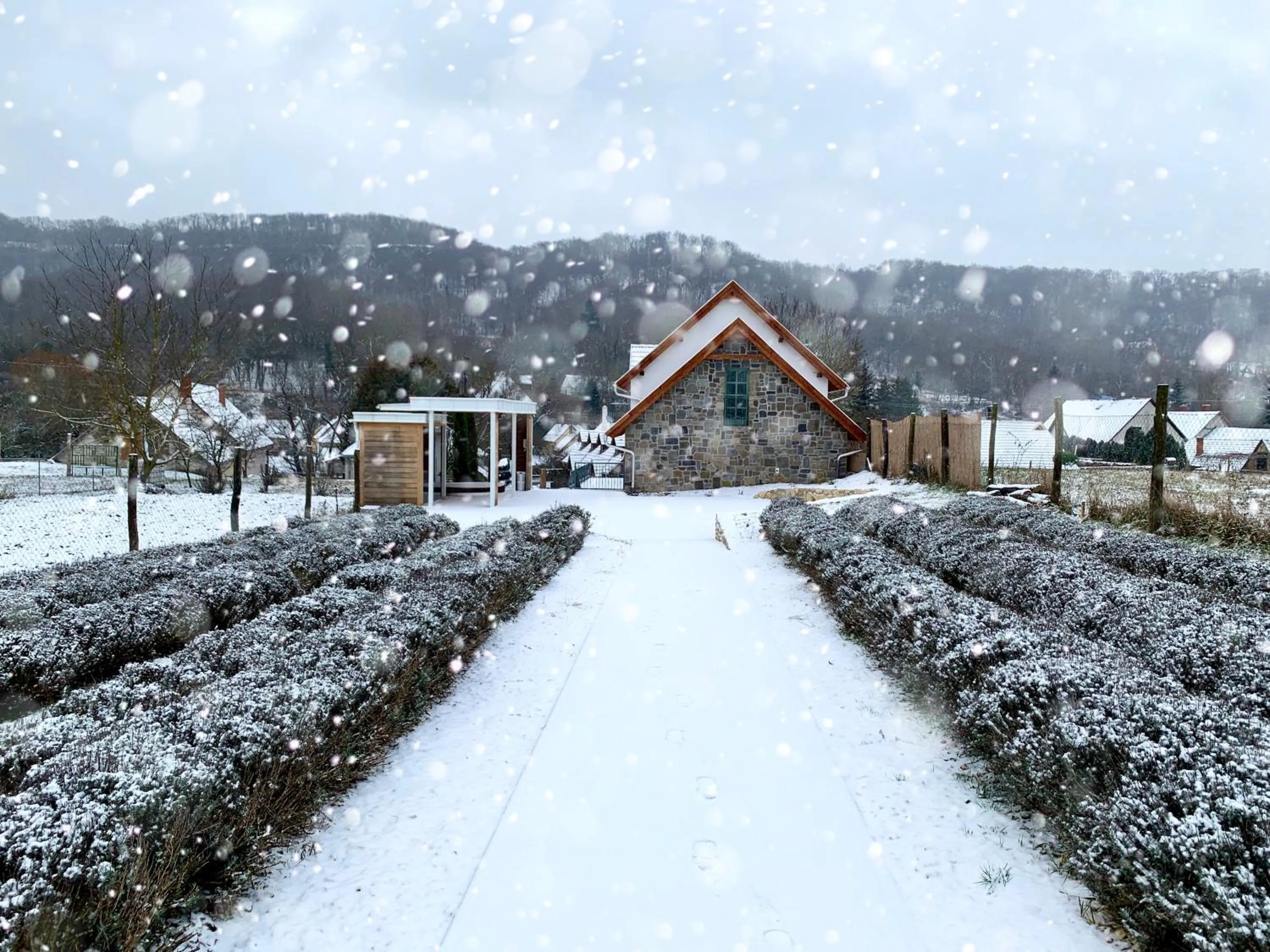 Winter in Hazai Provence