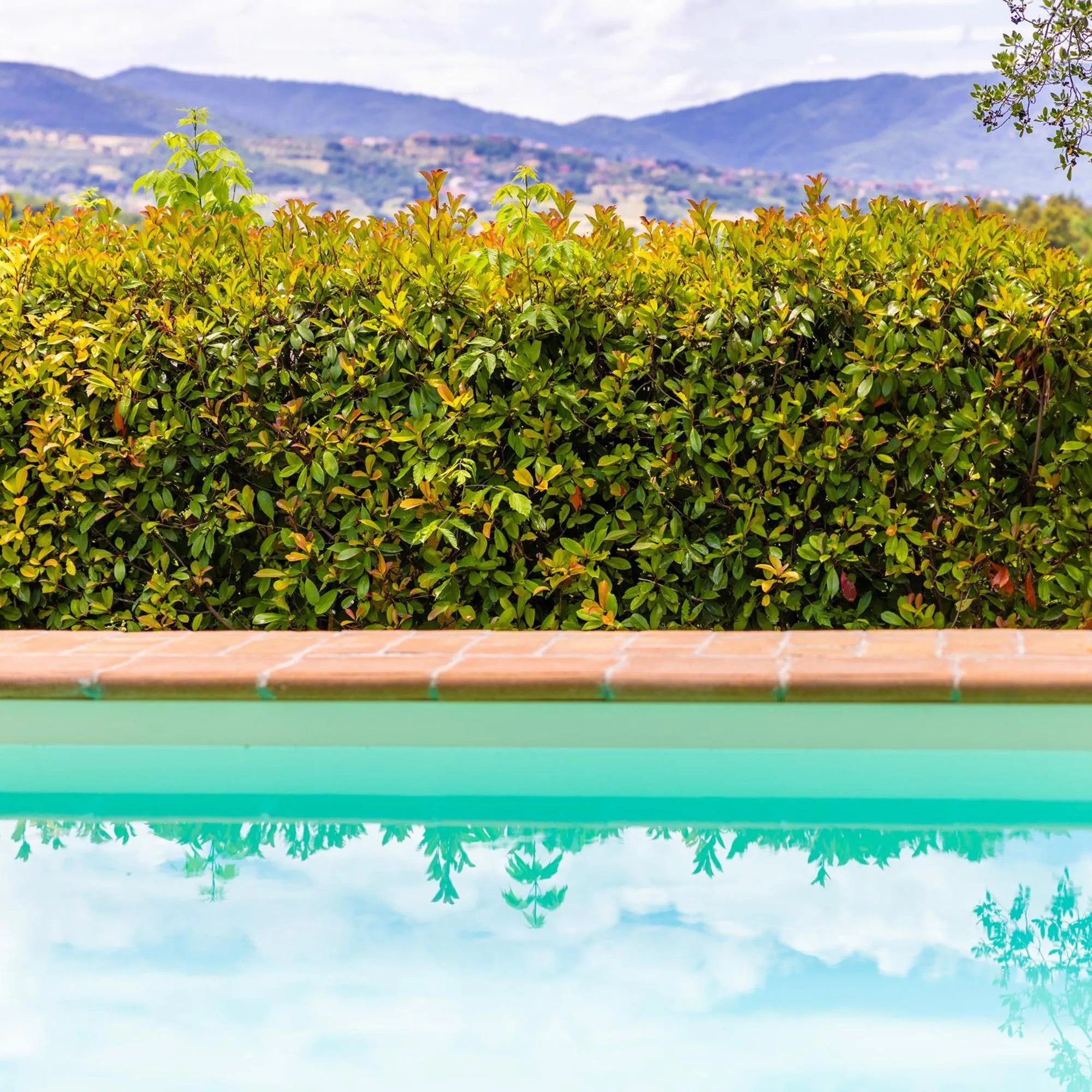 Garden view in Un Petit Paradis