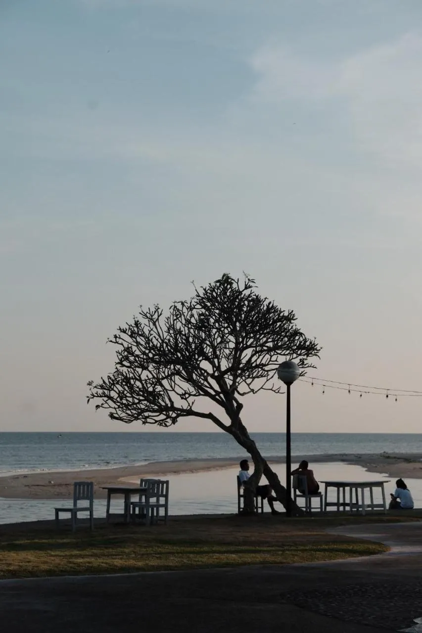 Natural landscape in Rockgarden Beach Resort