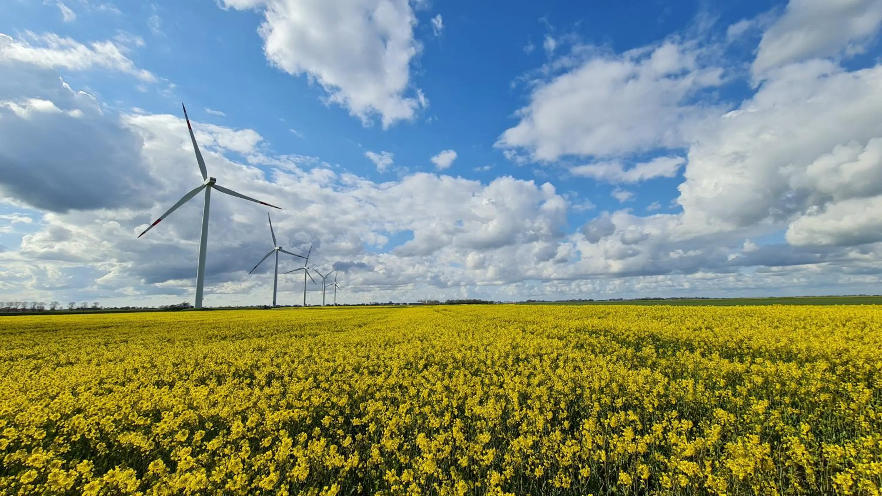 Natural landscape in Hotel Garni Am Lindenhof Bunde
