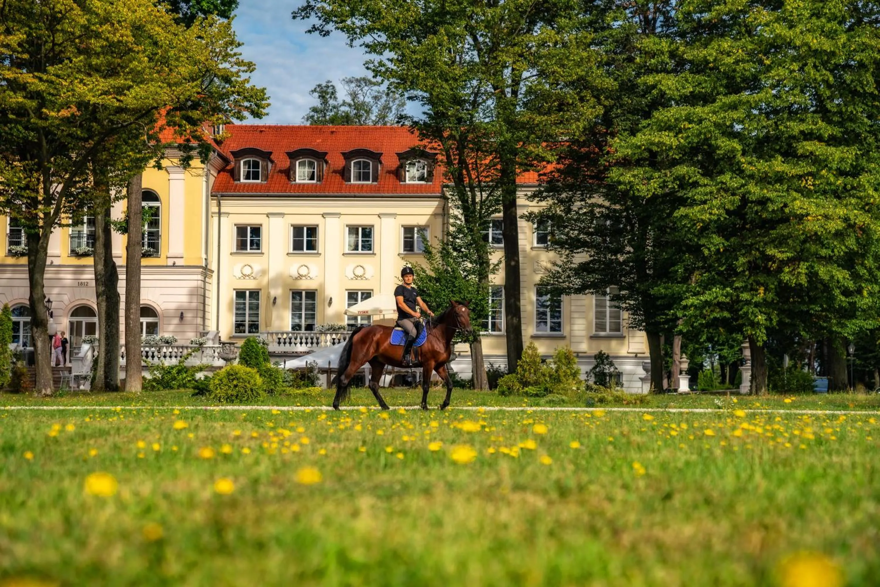 Horse-riding in Hotel Pałac Alexandrinum
