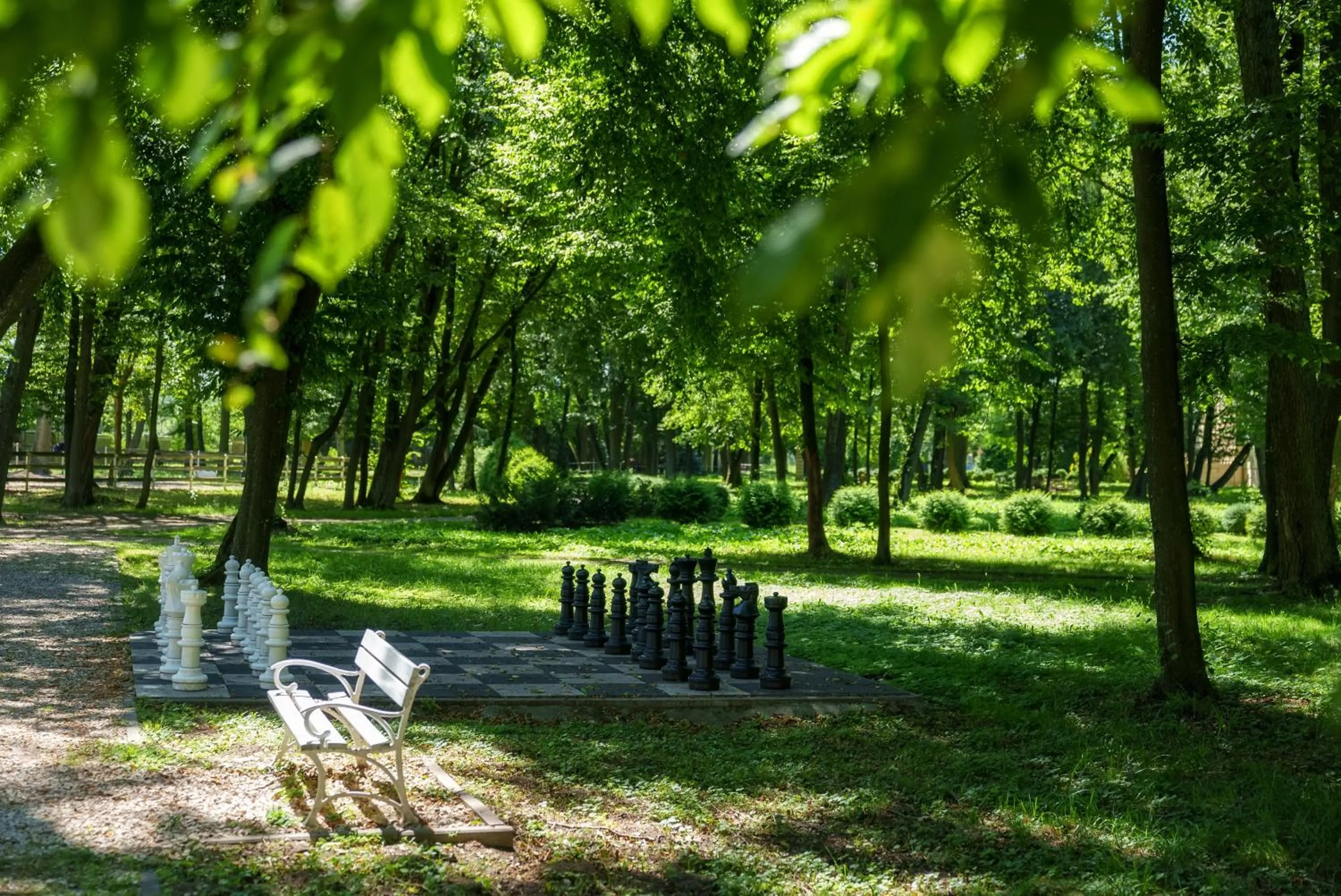 Garden in Hotel Pałac Alexandrinum
