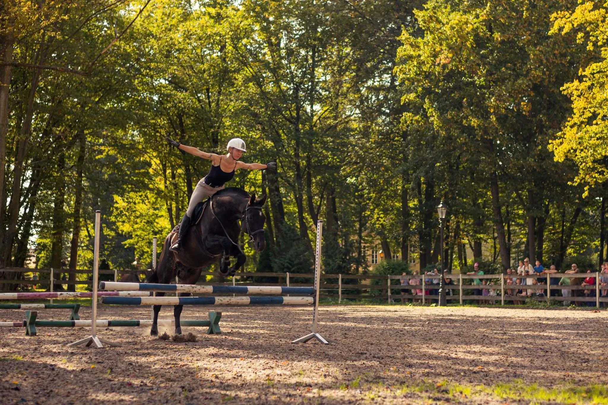 Garden in Hotel Pałac Alexandrinum
