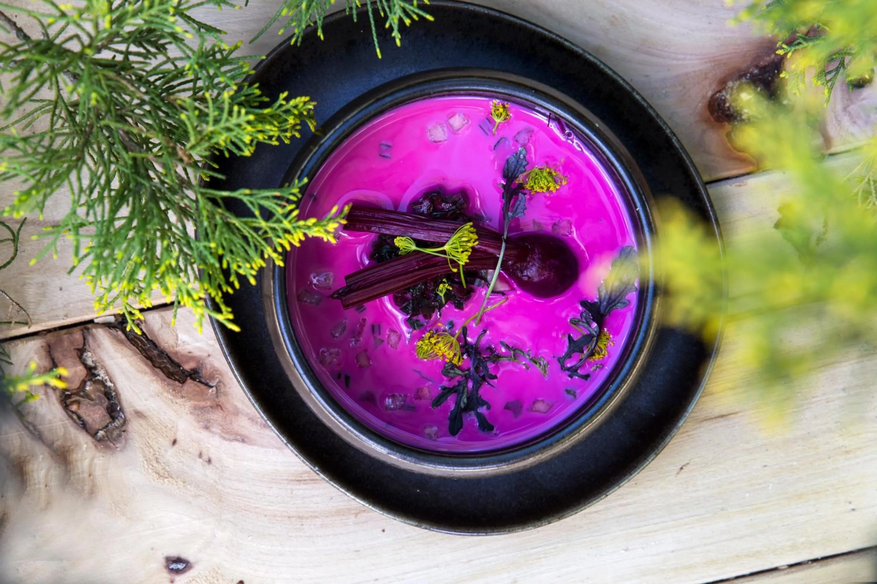 Food in Hotel Pałac Alexandrinum