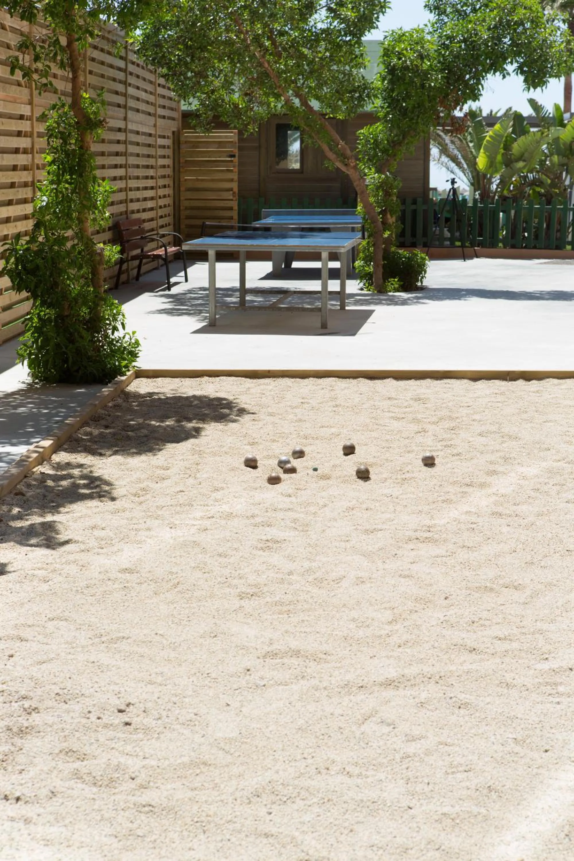 Sports in Protur Roquetas Hotel & Spa