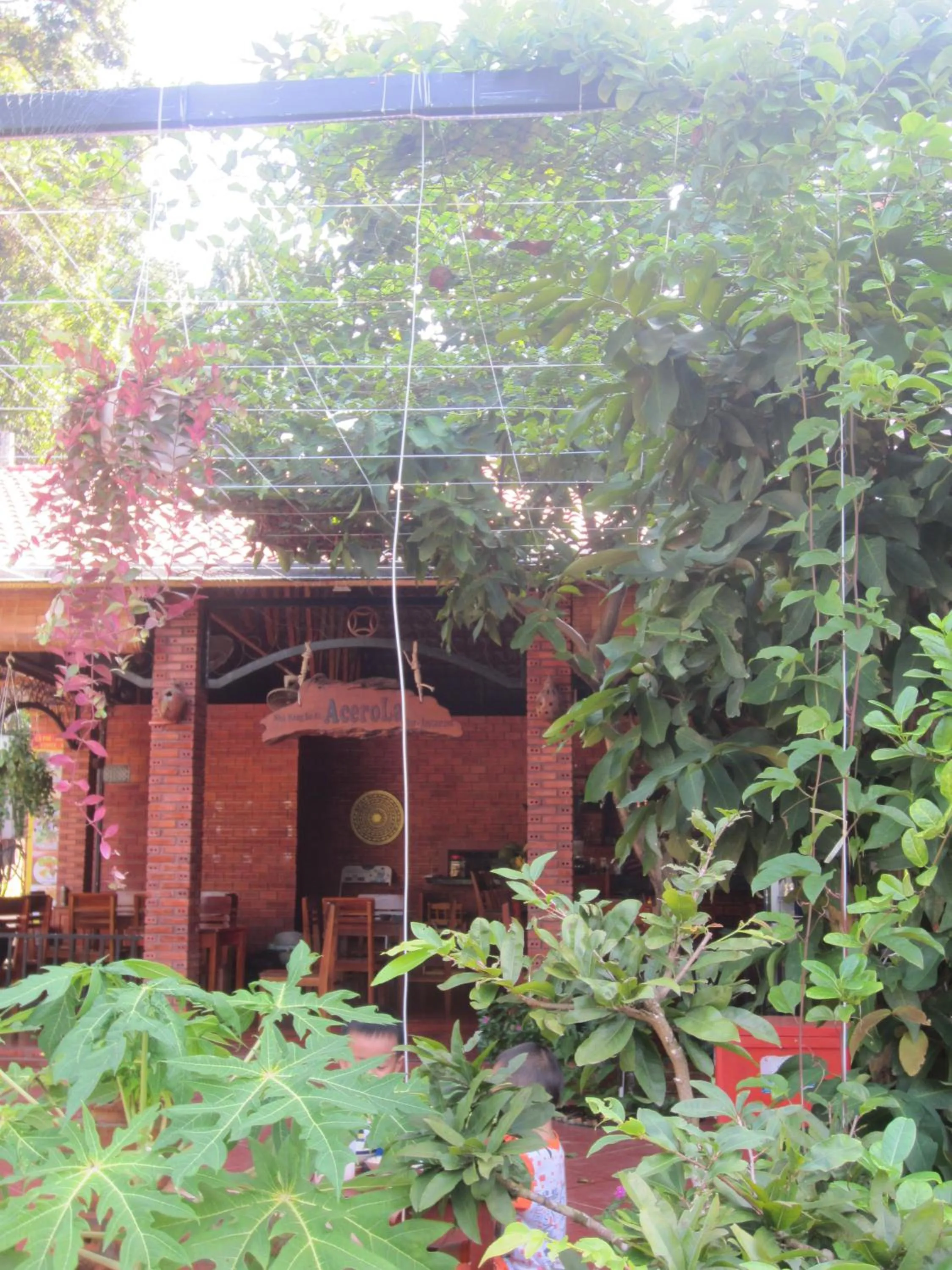 Restaurant/places to eat in Gia Thanh Phu Quoc Guest House