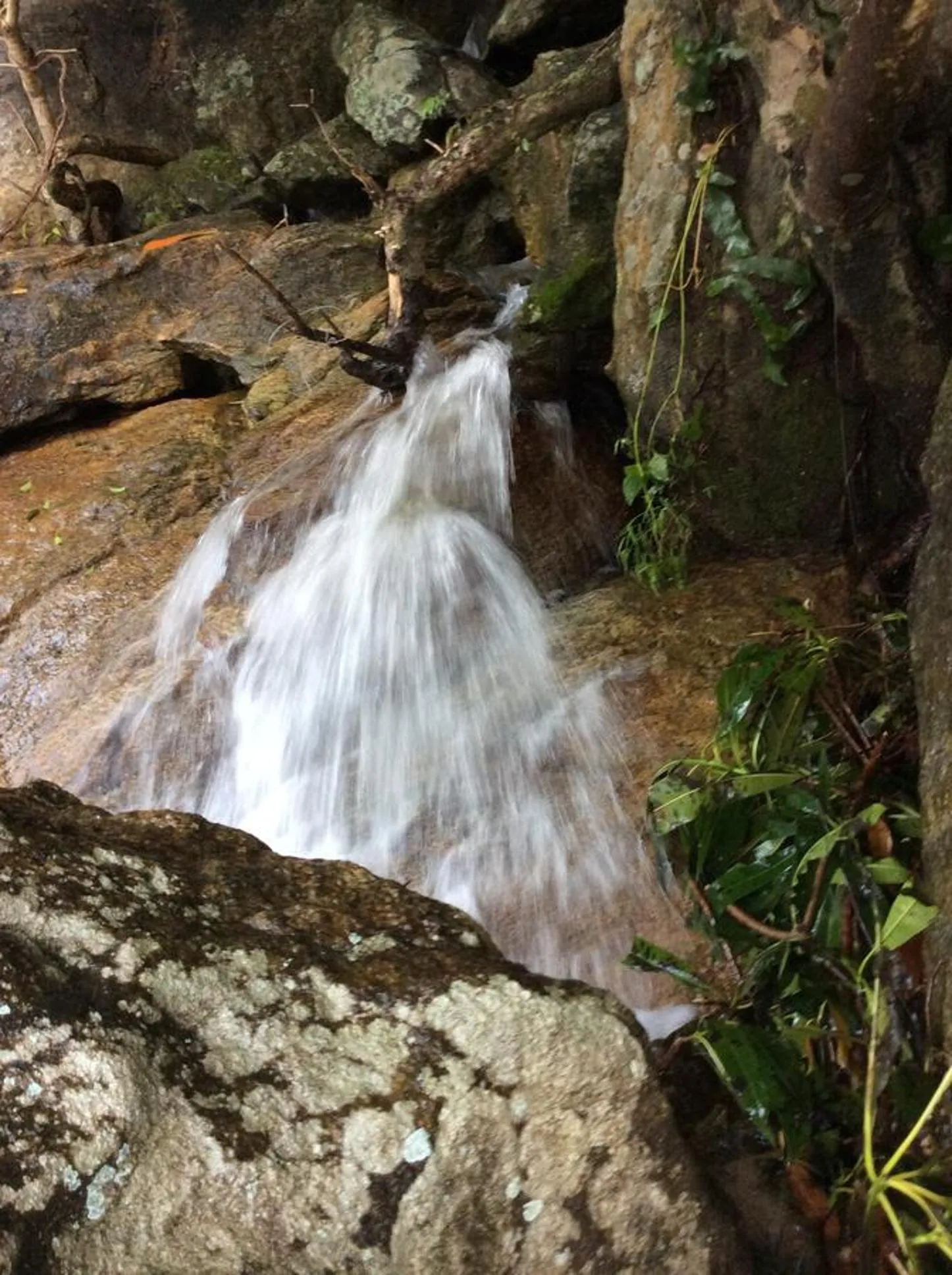 Natural landscape in Cham Island Smiles Homestay