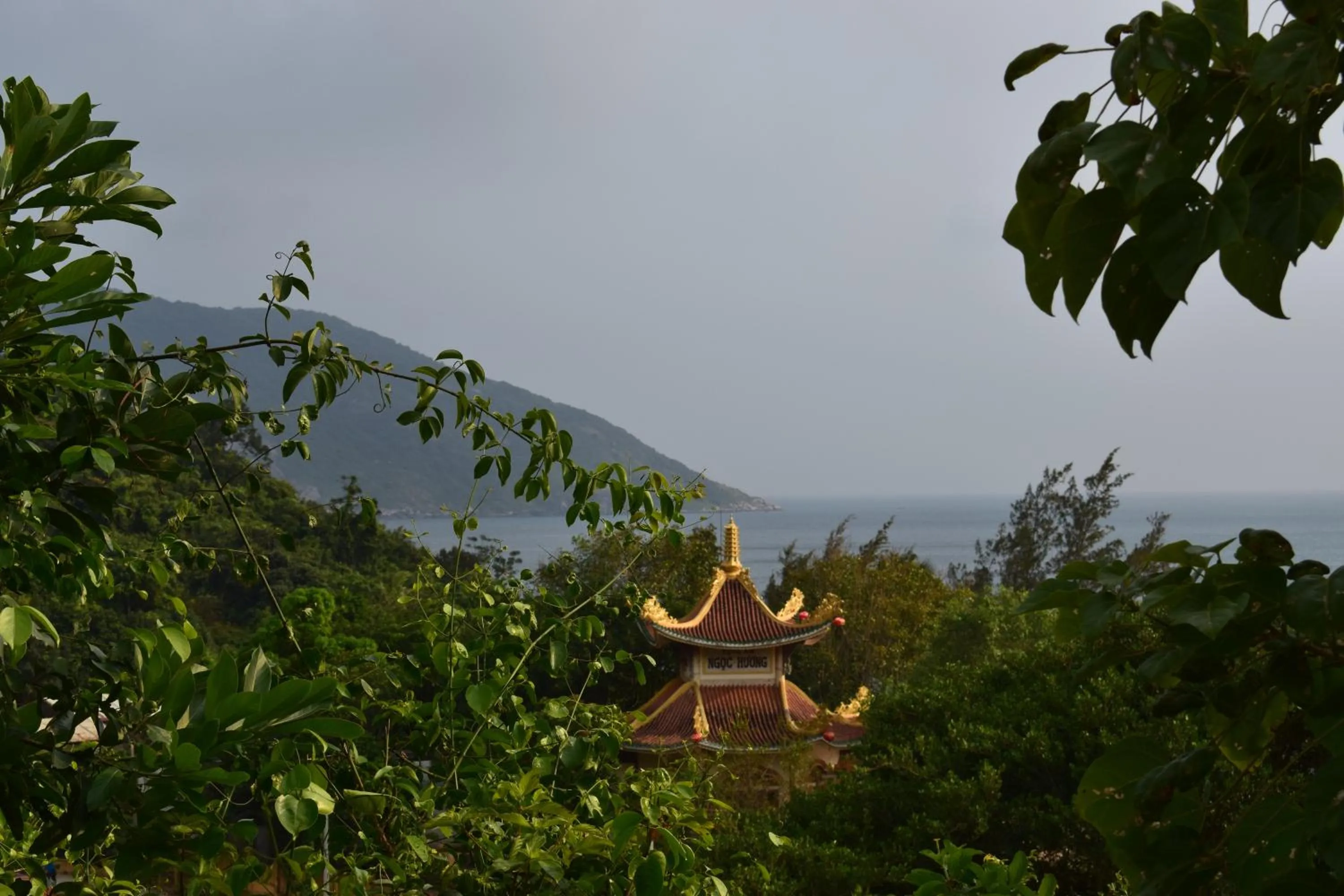 Natural landscape in Cham Island Smiles Homestay