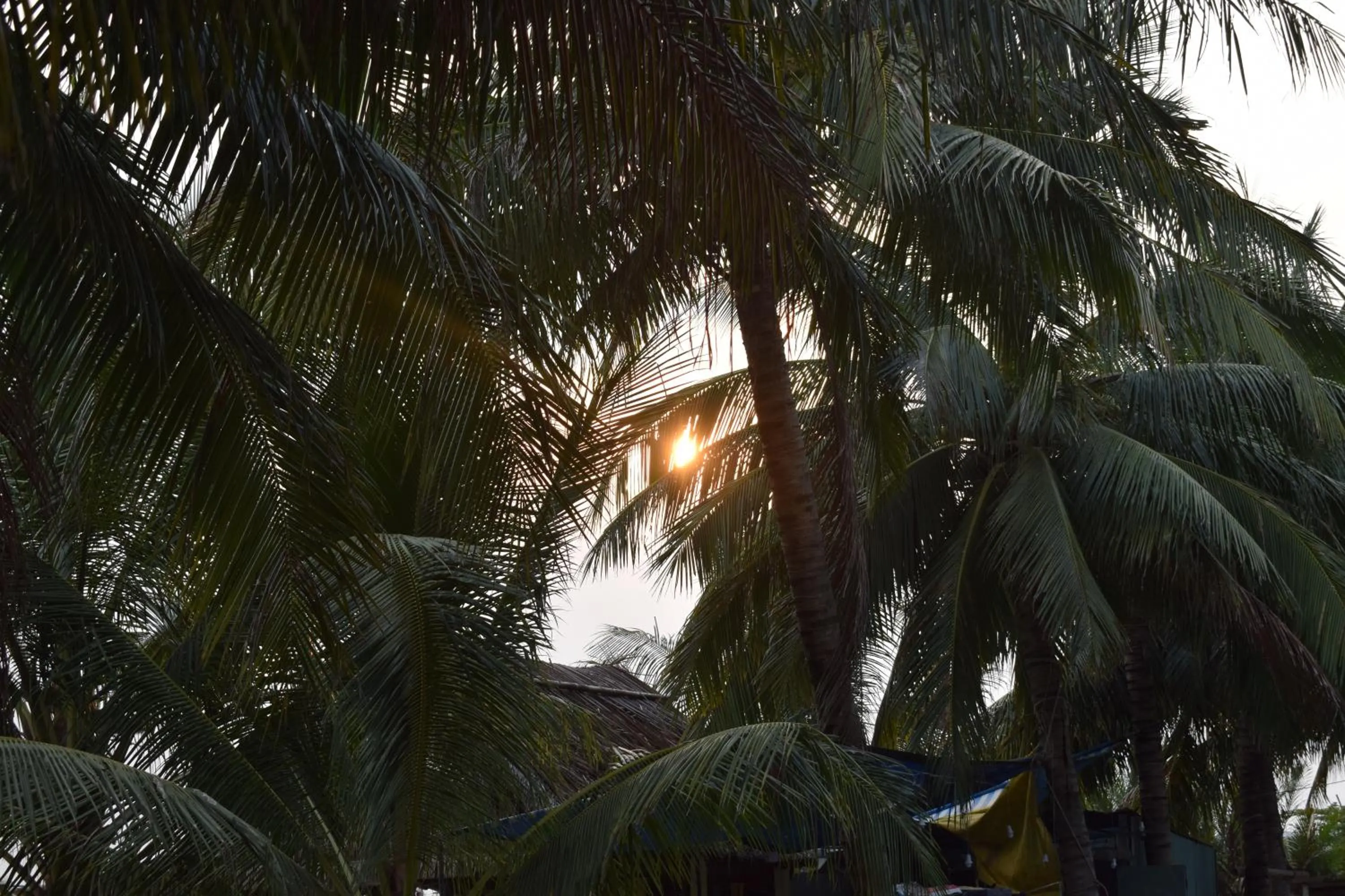 Natural landscape in Cham Island Smiles Homestay