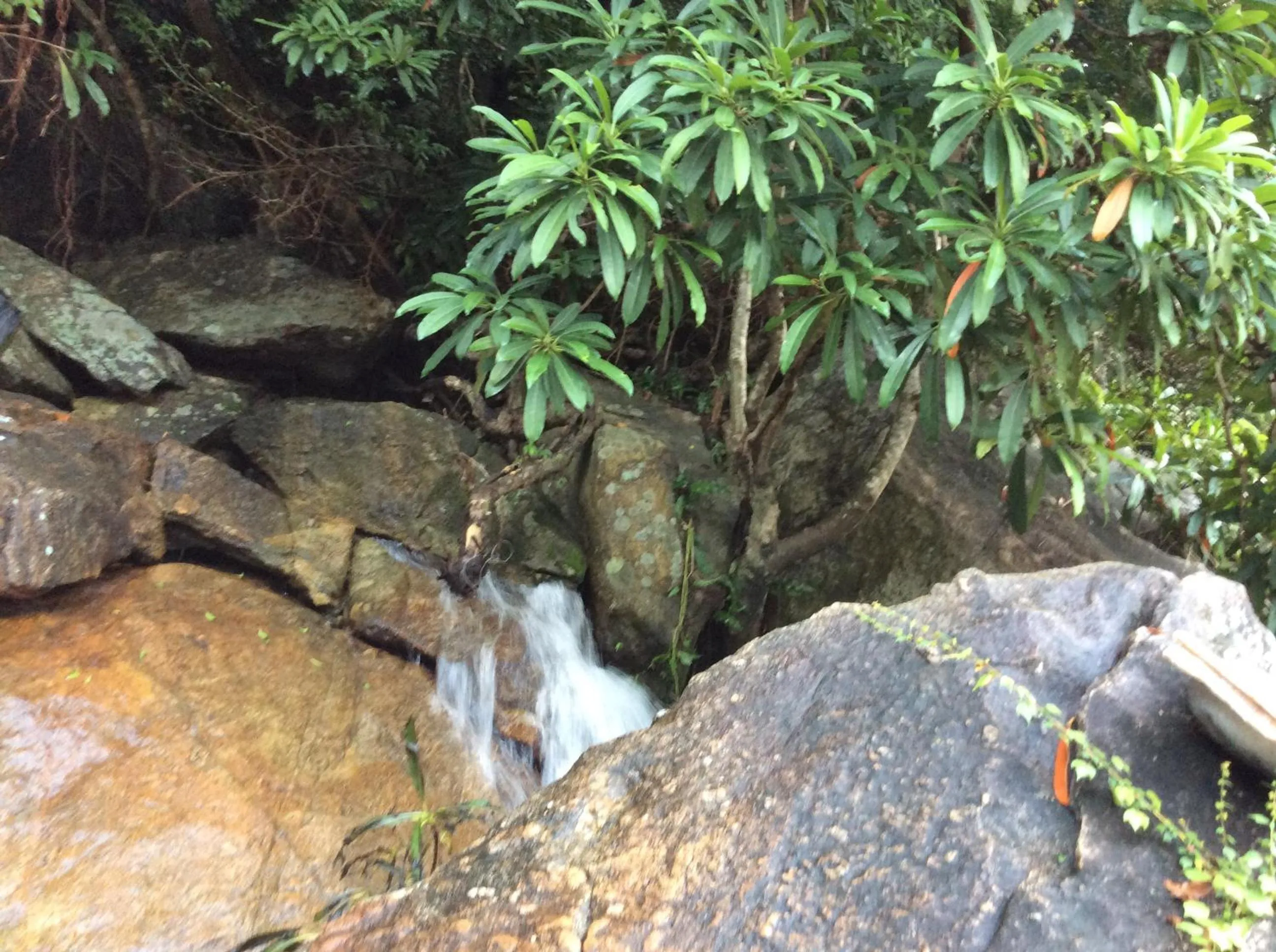 Natural landscape in Cham Island Smiles Homestay