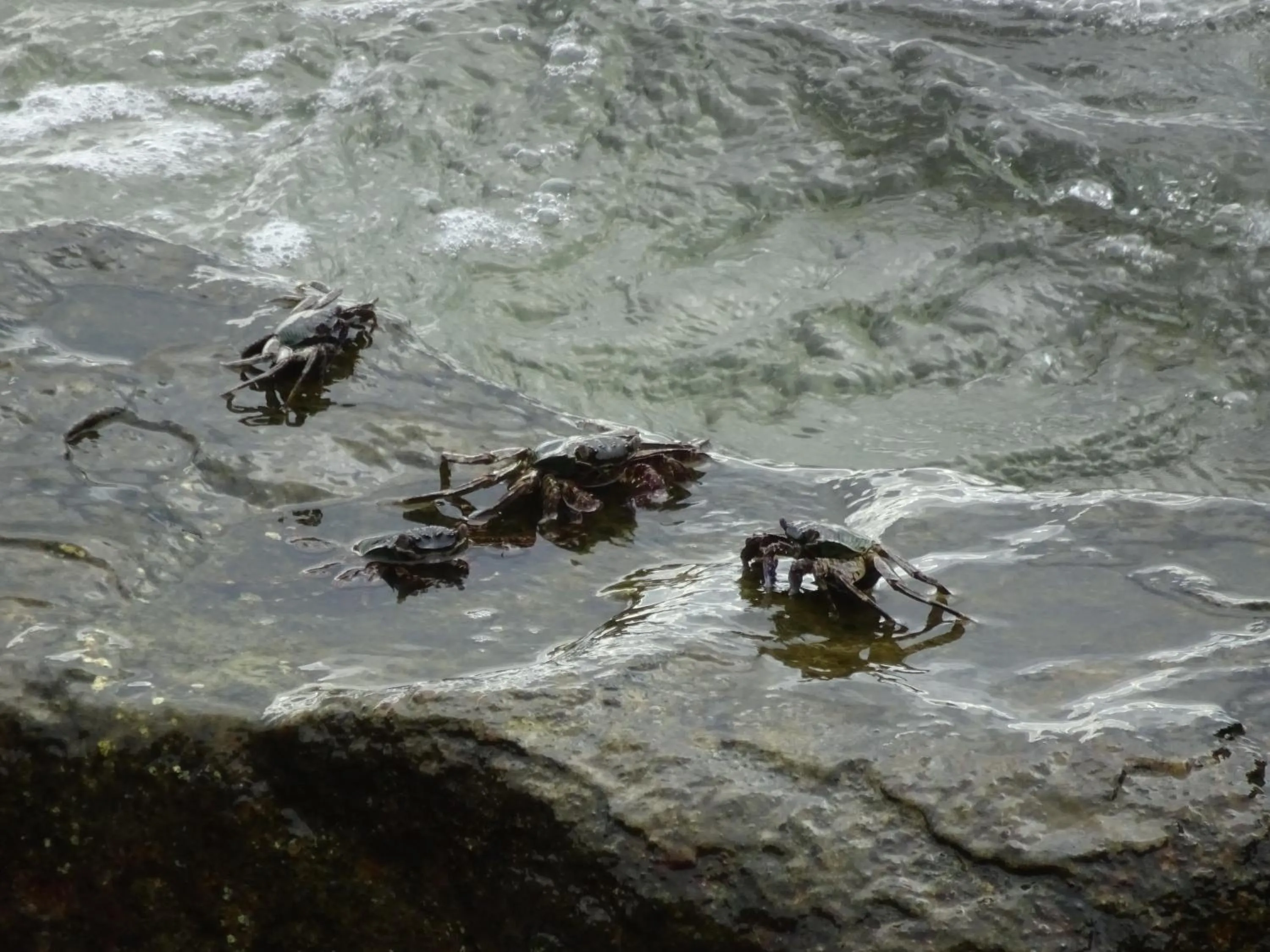 Natural landscape in Cham Island Smiles Homestay