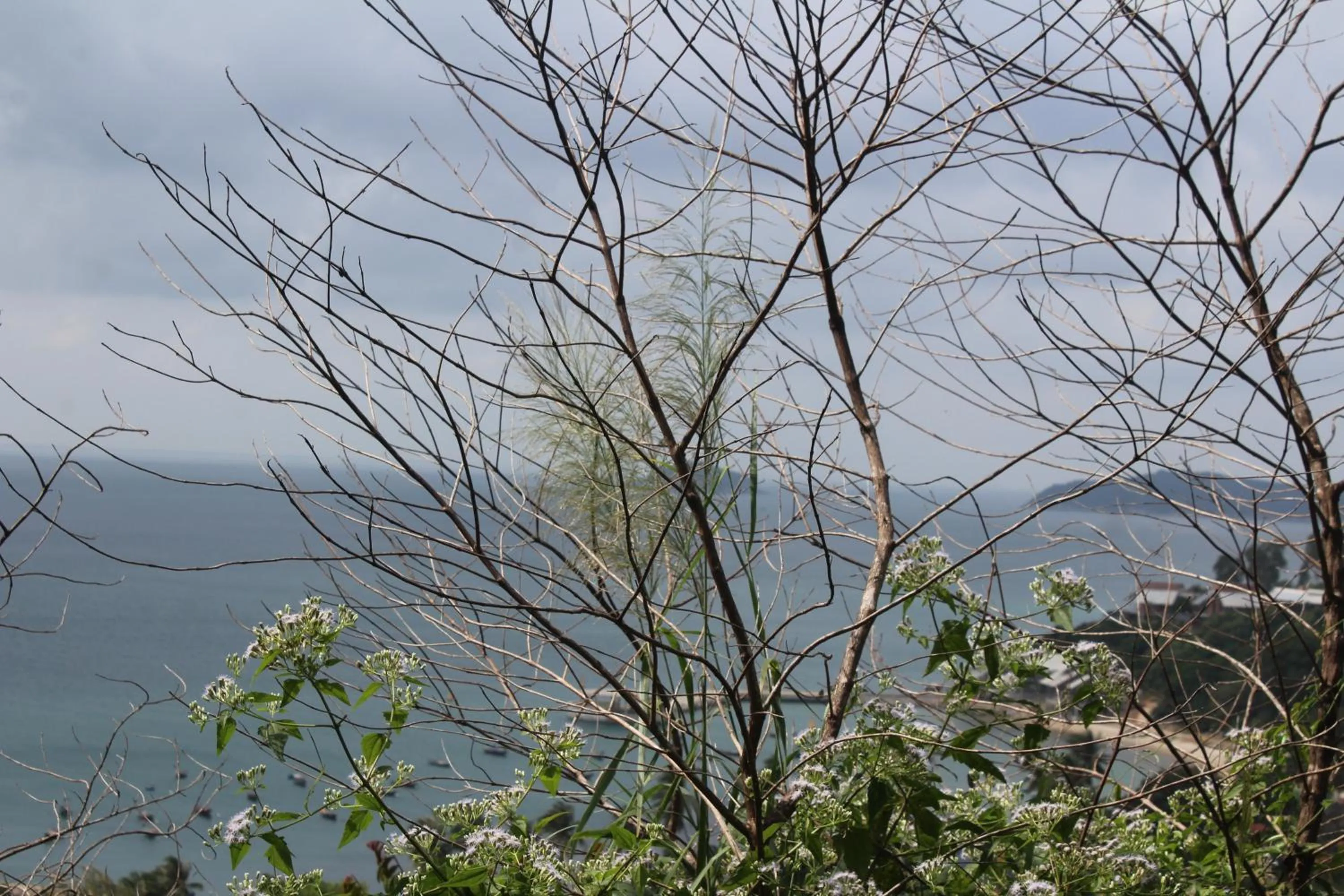 Natural landscape in Cham Island Smiles Homestay